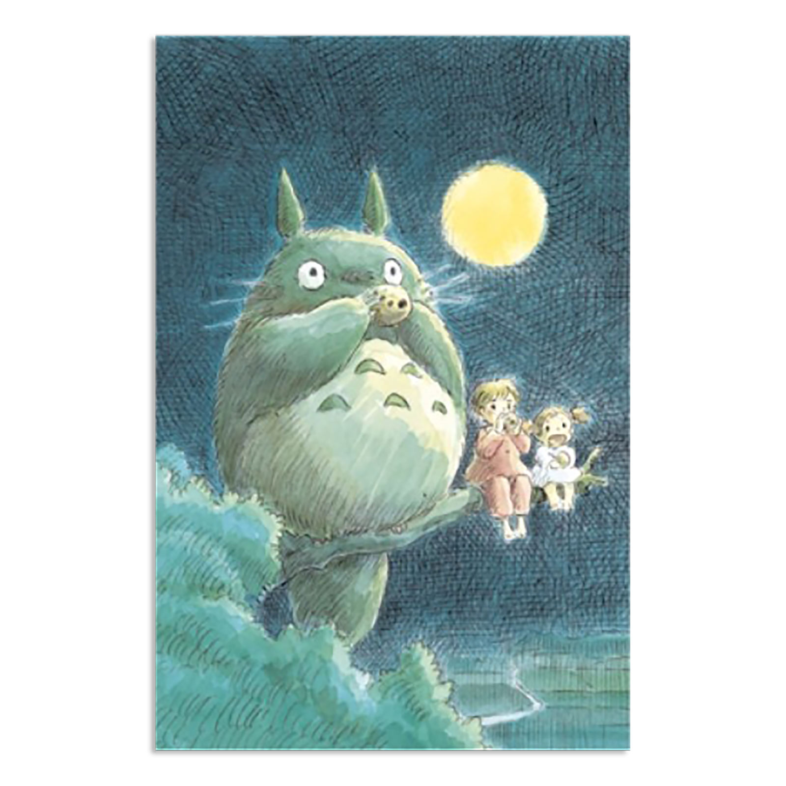 Totoro - Blaas de Ocarina Puzzel