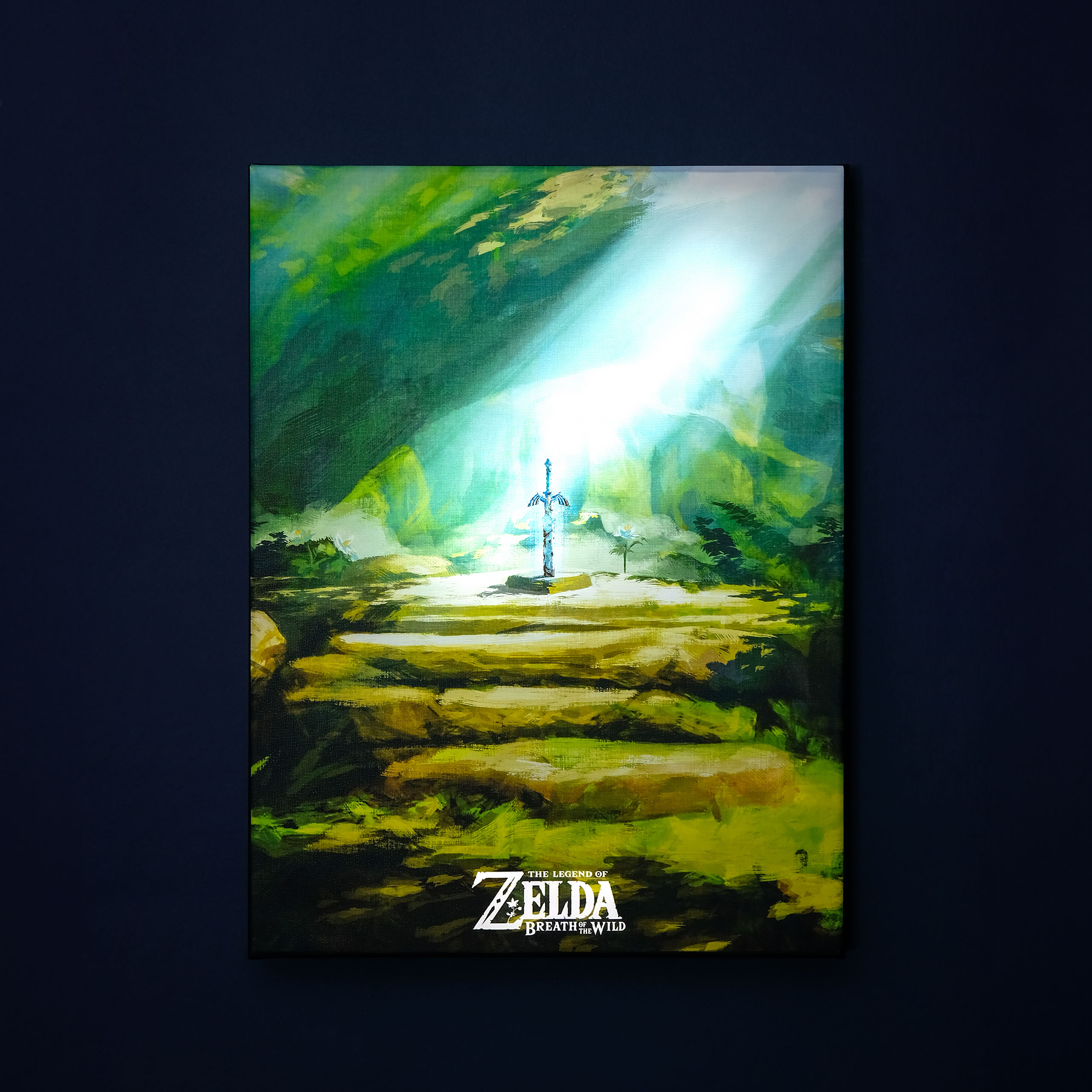 Zelda - Masterschwert Wandbild mit Licht