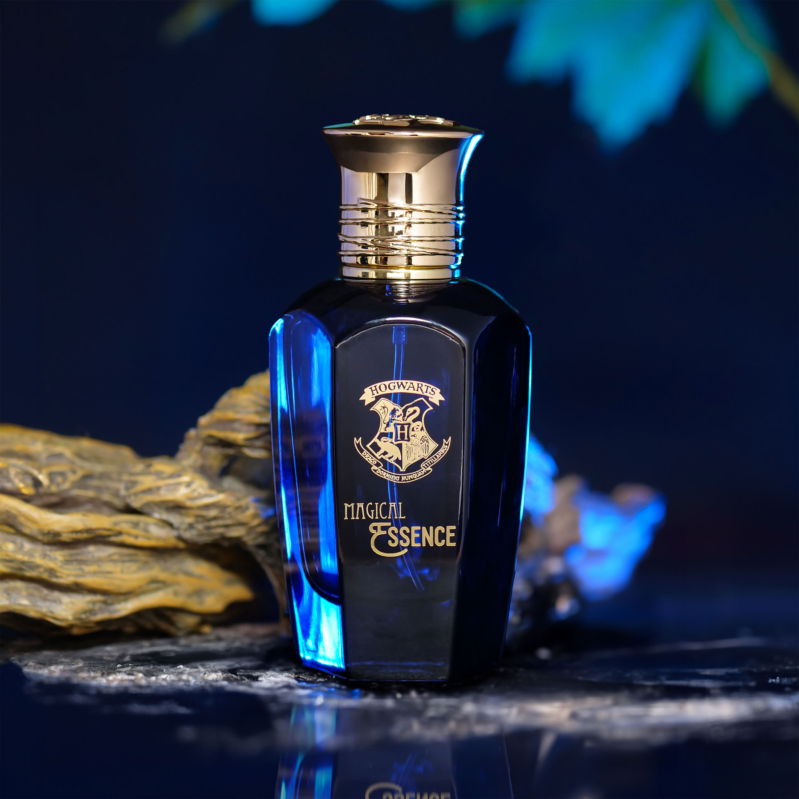 Harry Potter - Magical Essence Wisdom Eau de Parfum