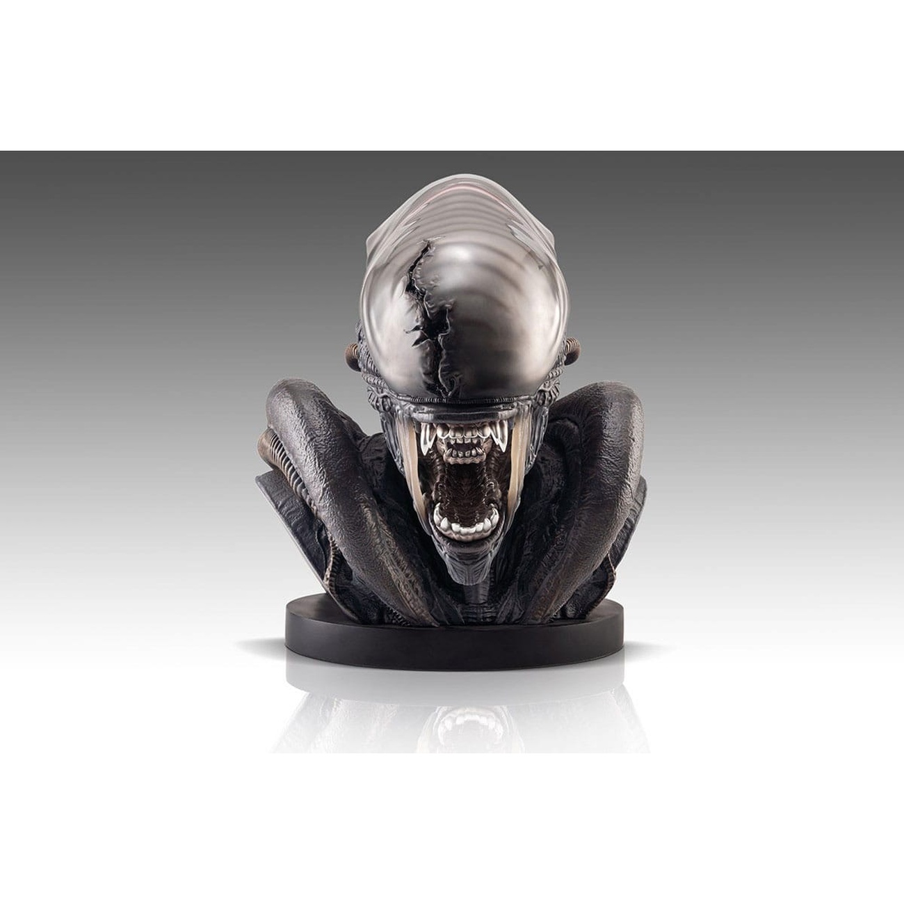 Alien Romulus Bust 1/1 Xenomorph 53 cm | Elbenwald