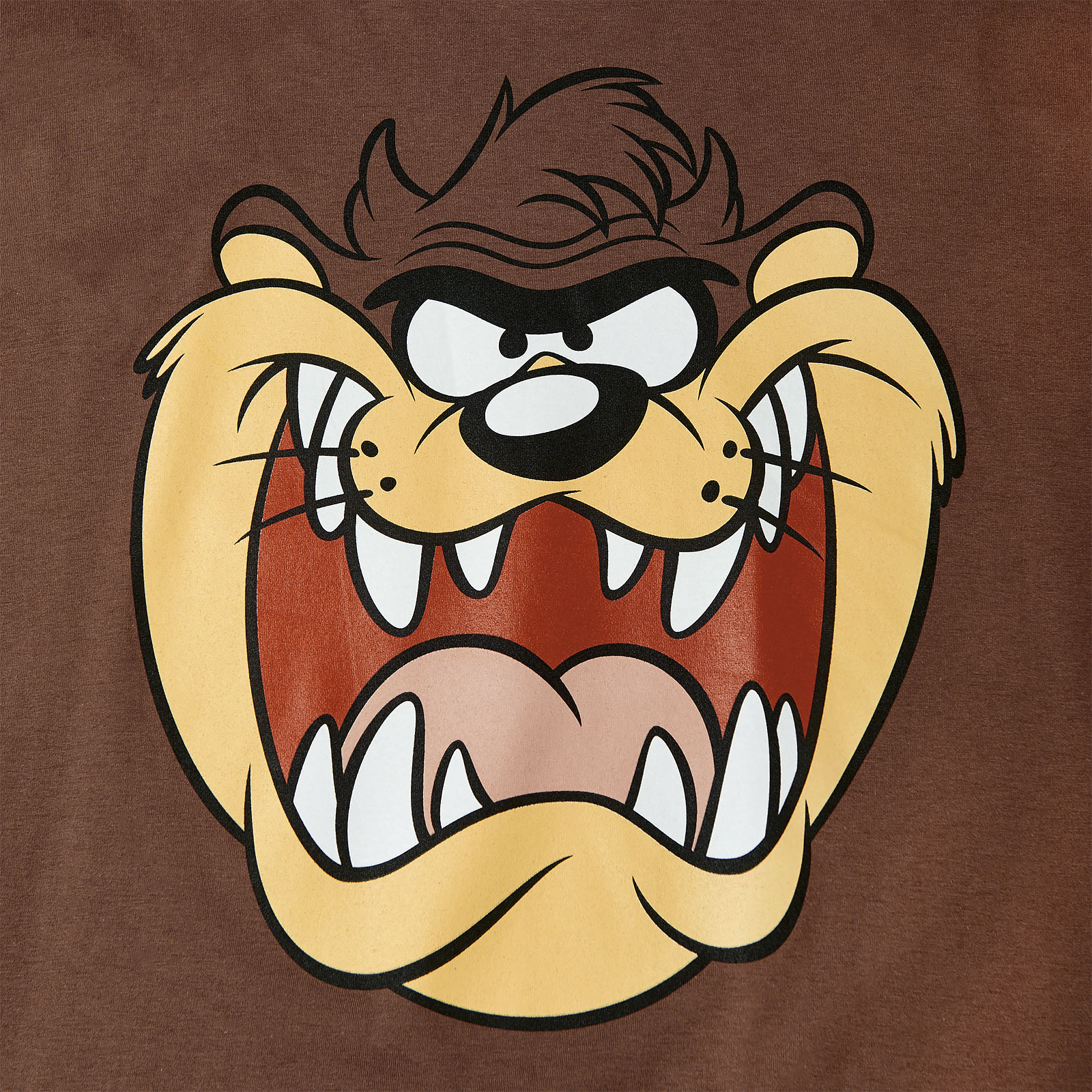 Looney Tunes - Taz Face T-Shirt braun