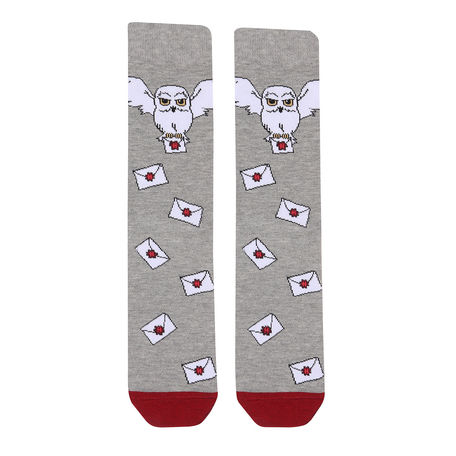 Harry Potter - Hogwarts Letter Socks