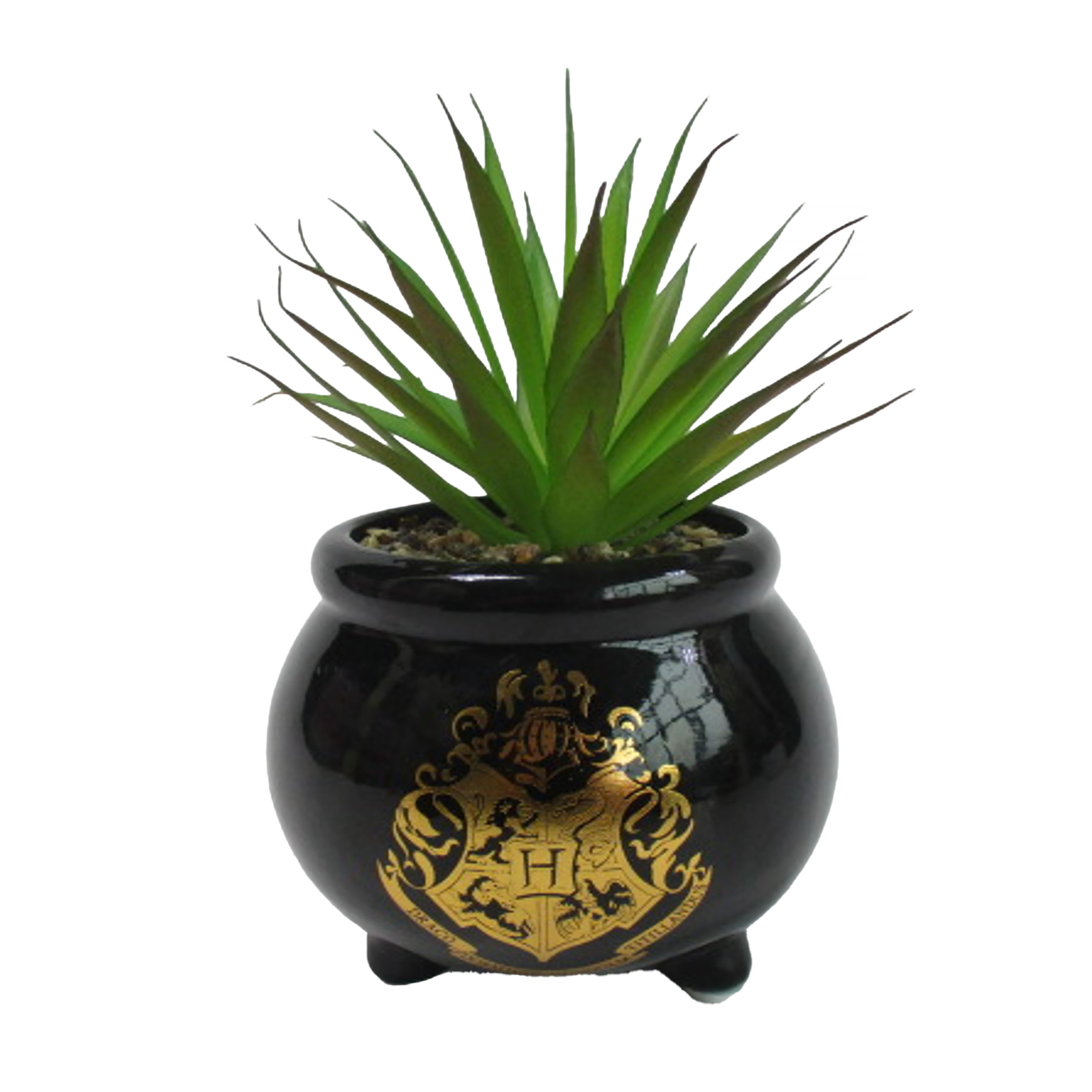 Harry Potter - Pot de fleur Chaudron de Poudlard