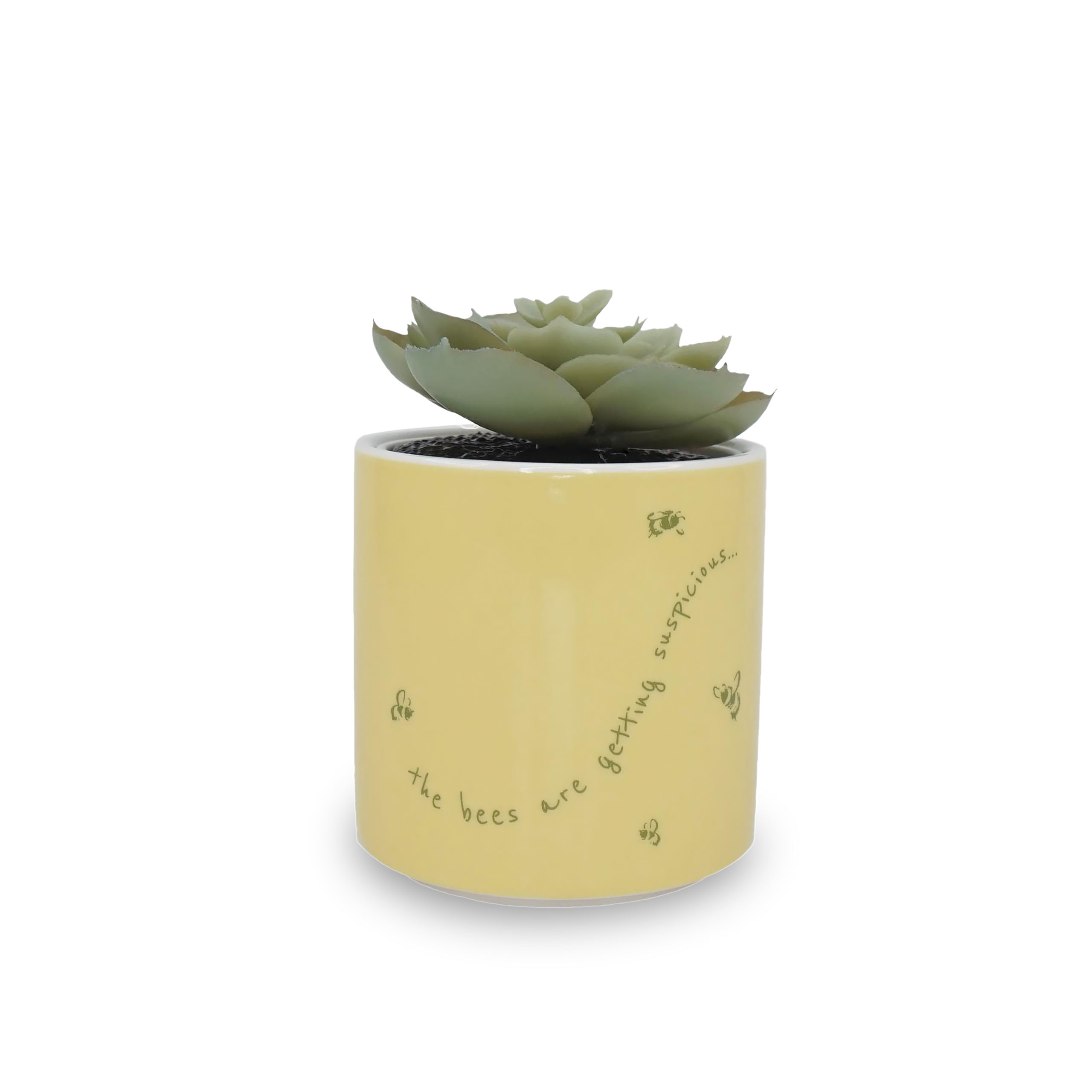 Winnie l'Ourson - Mini Pot de Fleur