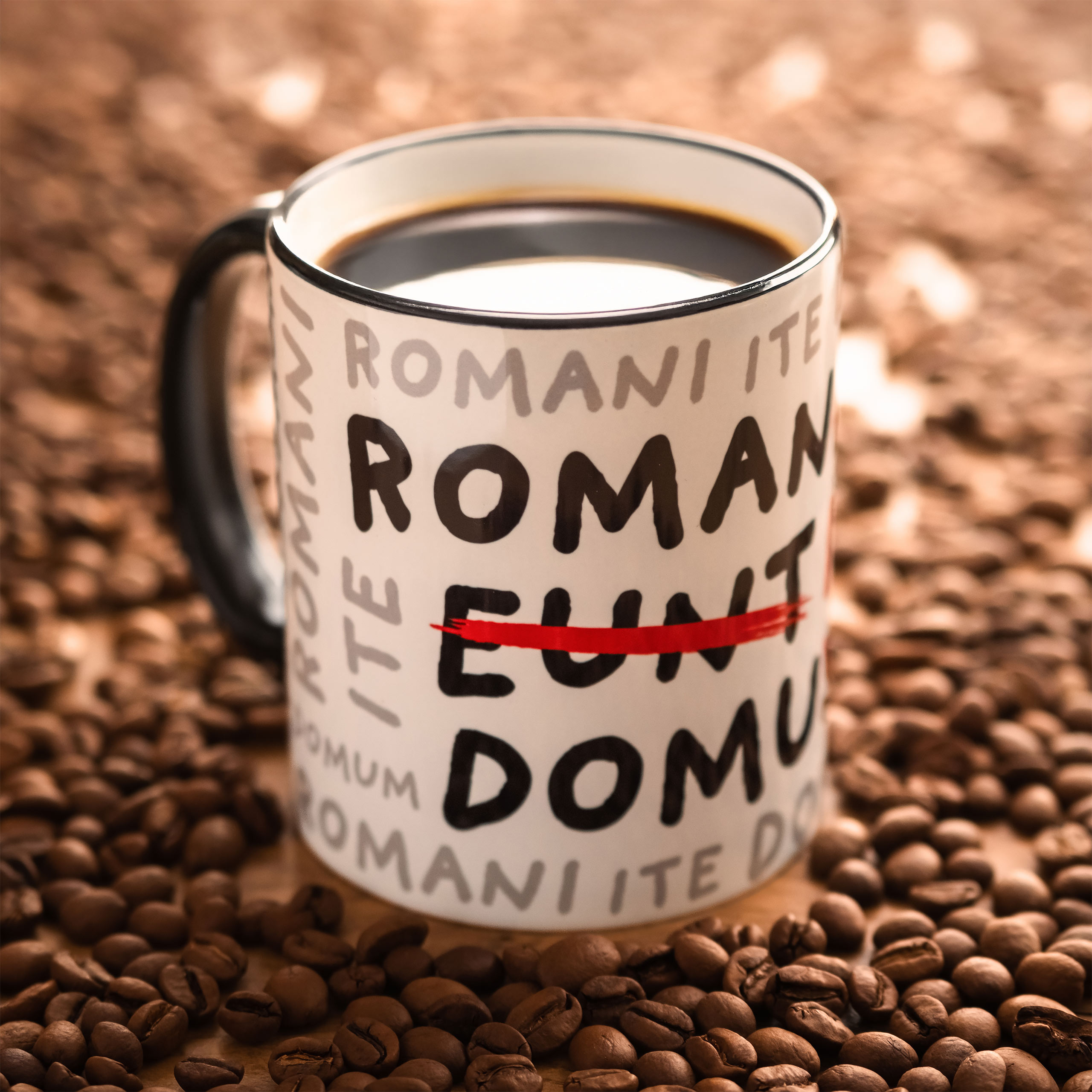 Romani Ite Domum Mug for Monty Python Fans