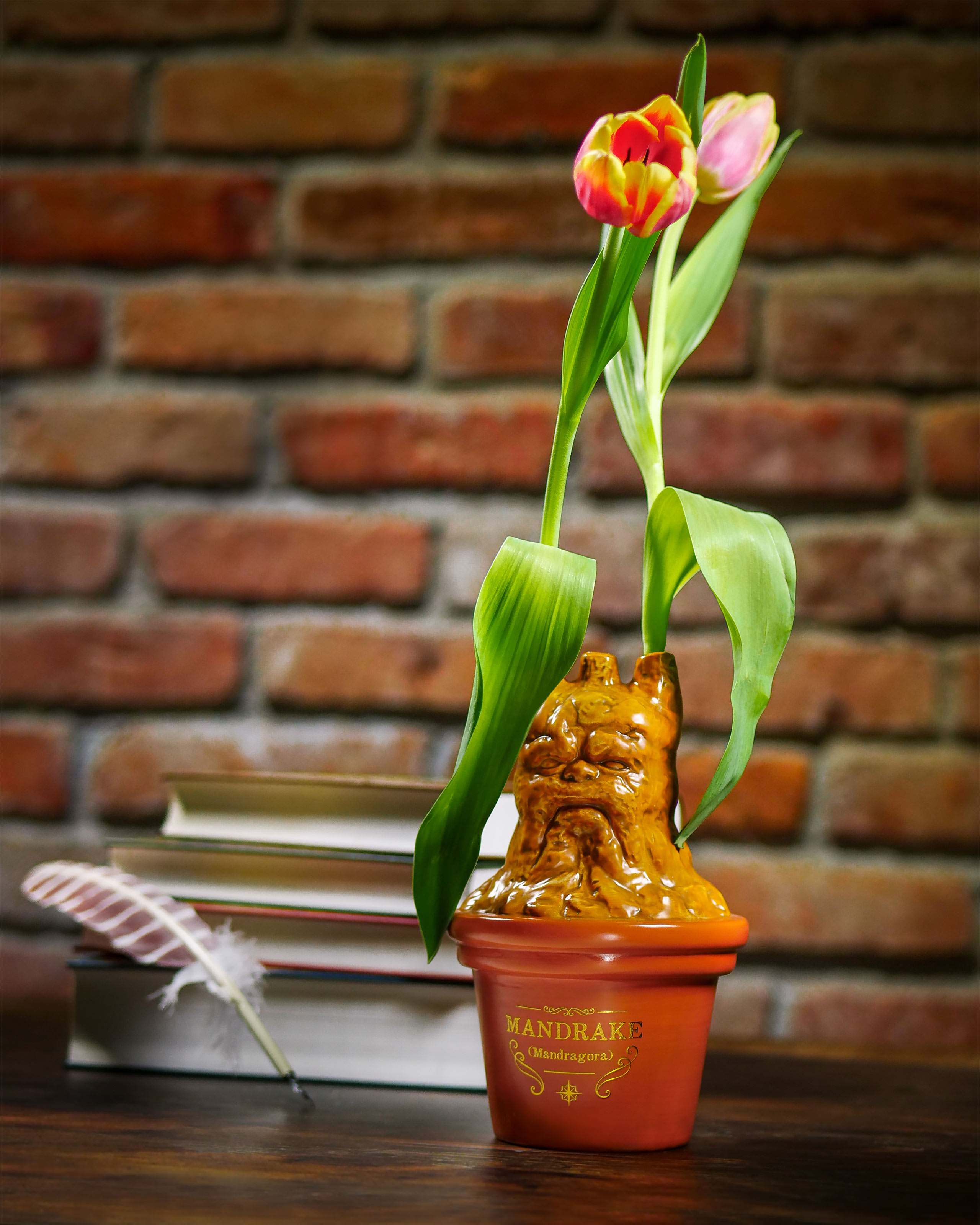 Mandrake Vase - Harry Potter