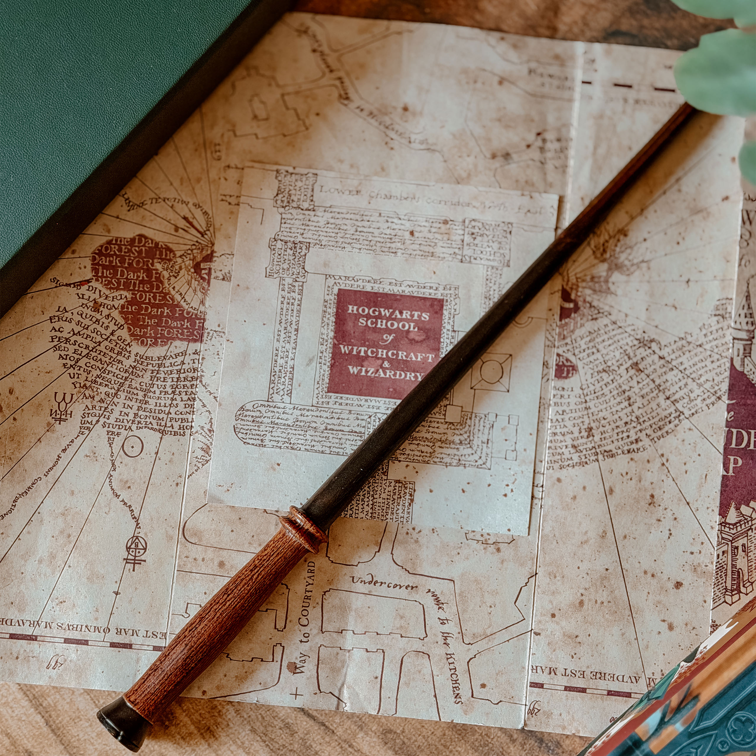 Harry's Eerste Toverstaf - Harry Potter First Wands Collection