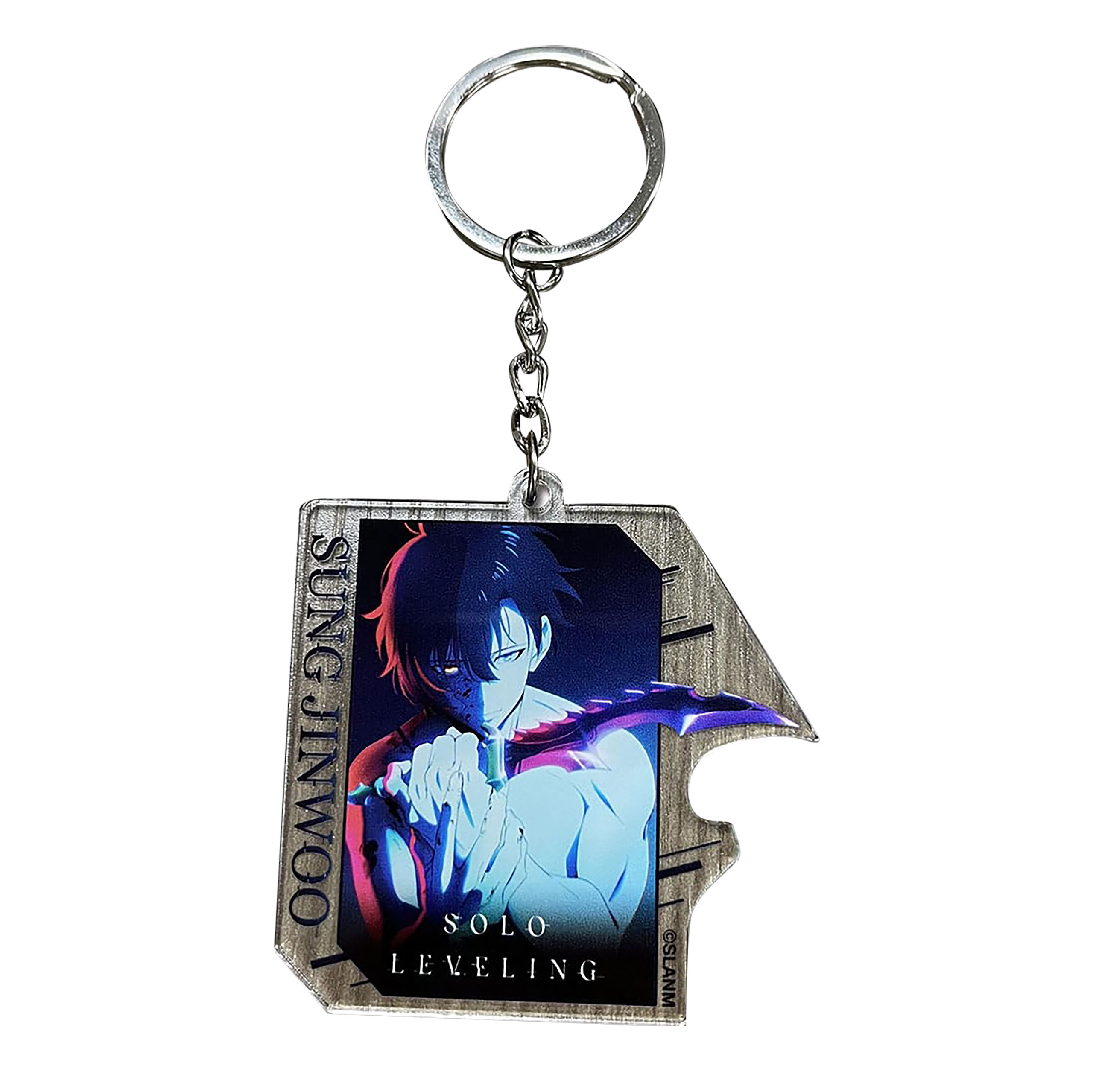 Solo Leveling - Sung Jinwoo Teaser Art Schlüsselanhänger