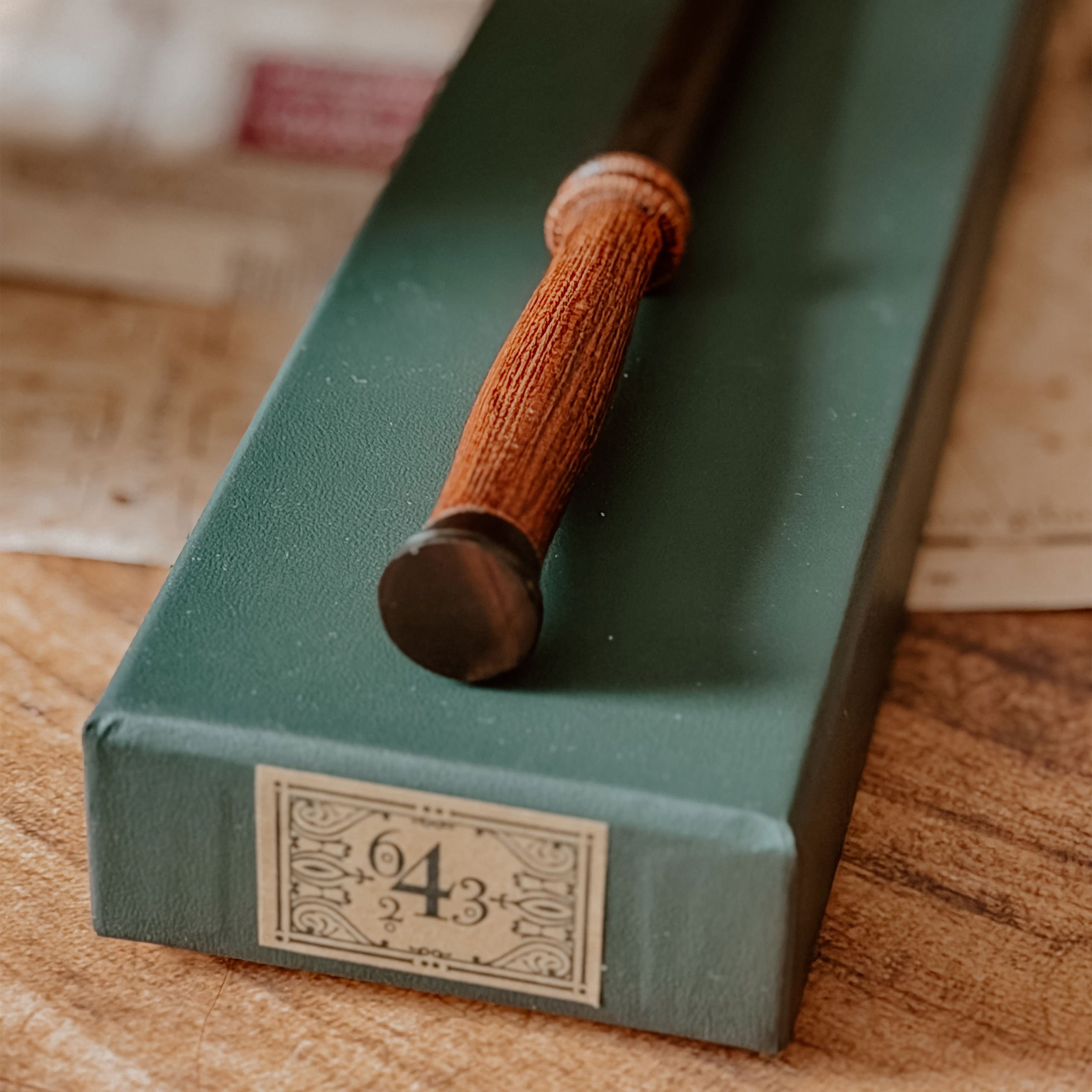 Harry's Eerste Toverstaf - Harry Potter First Wands Collection