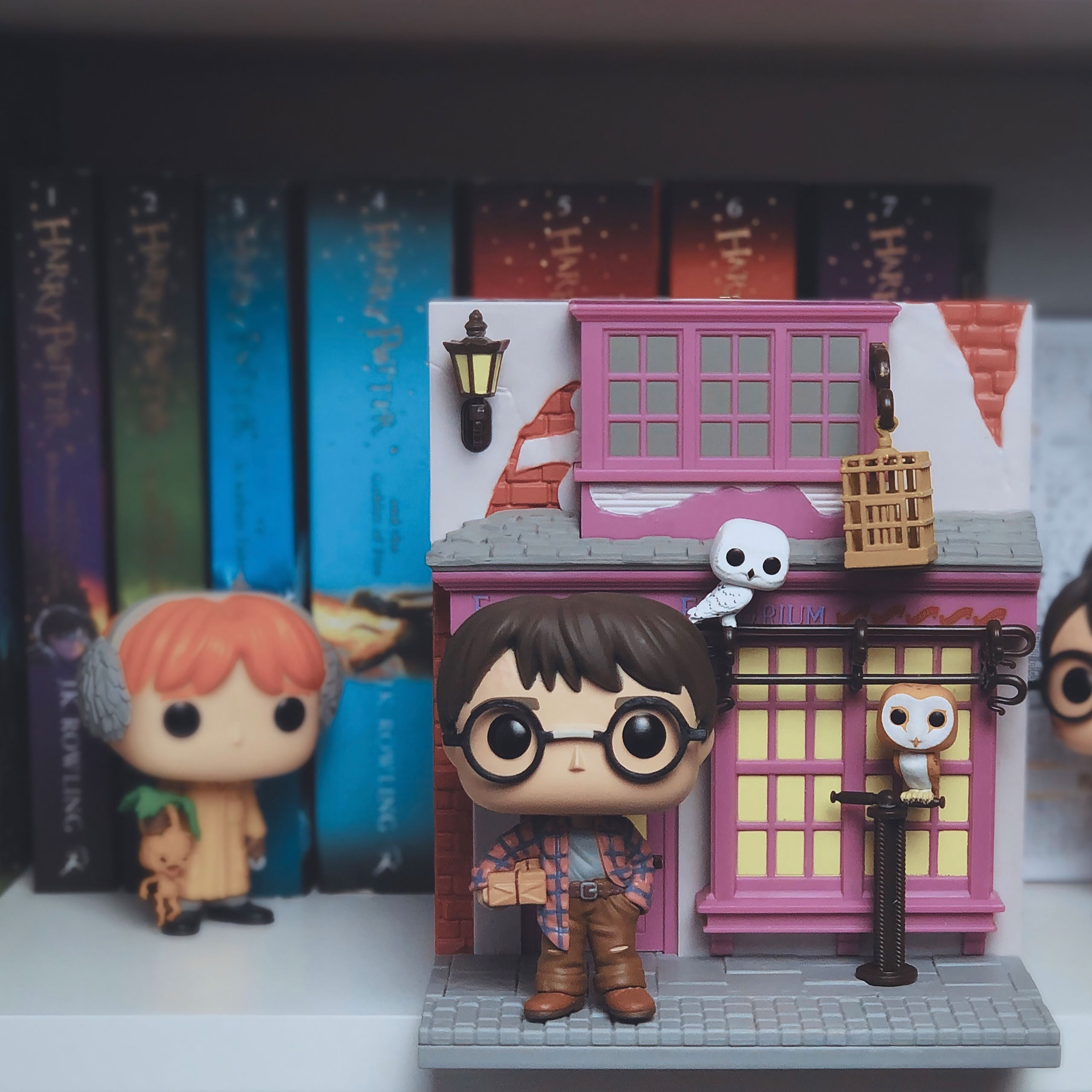 Harry Potter en Eeylops Uil Winkel Funko Pop Figurine met Diorama