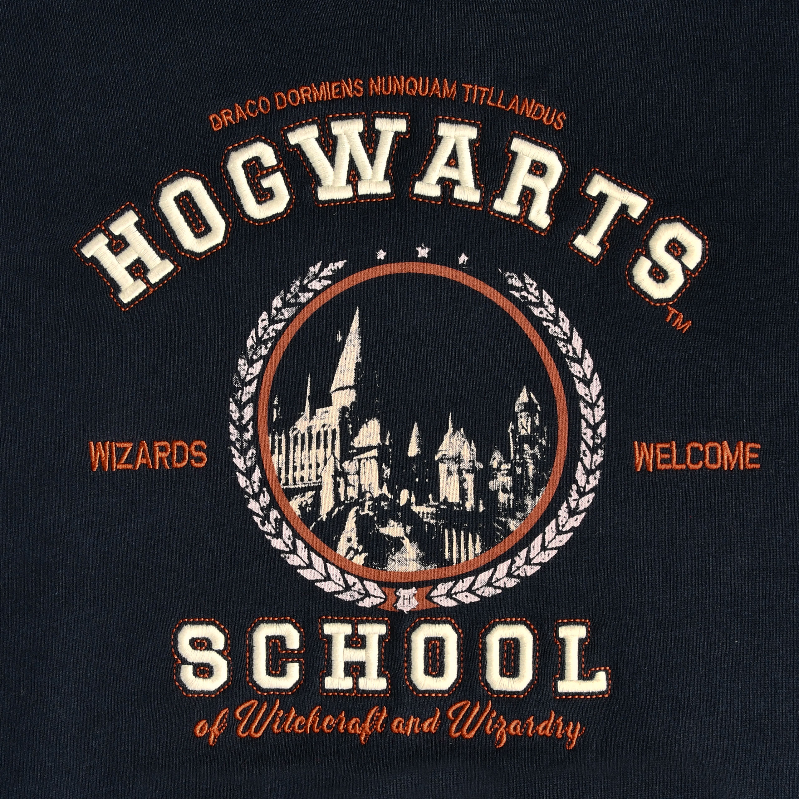 Harry Potter - Hogwarts School Kinder Hoodie Blauw