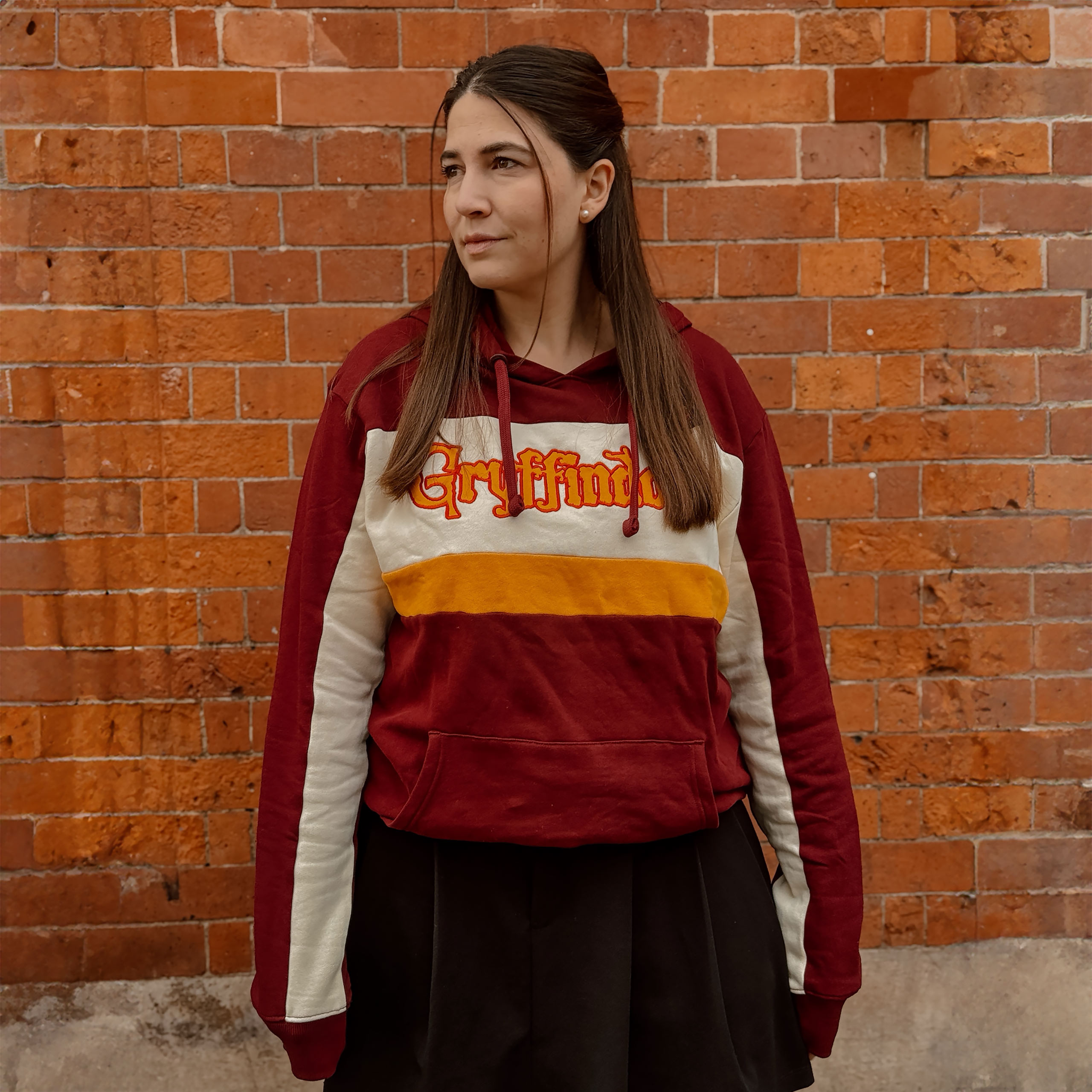Harry Potter - Team Gryffindor Block Hoodie