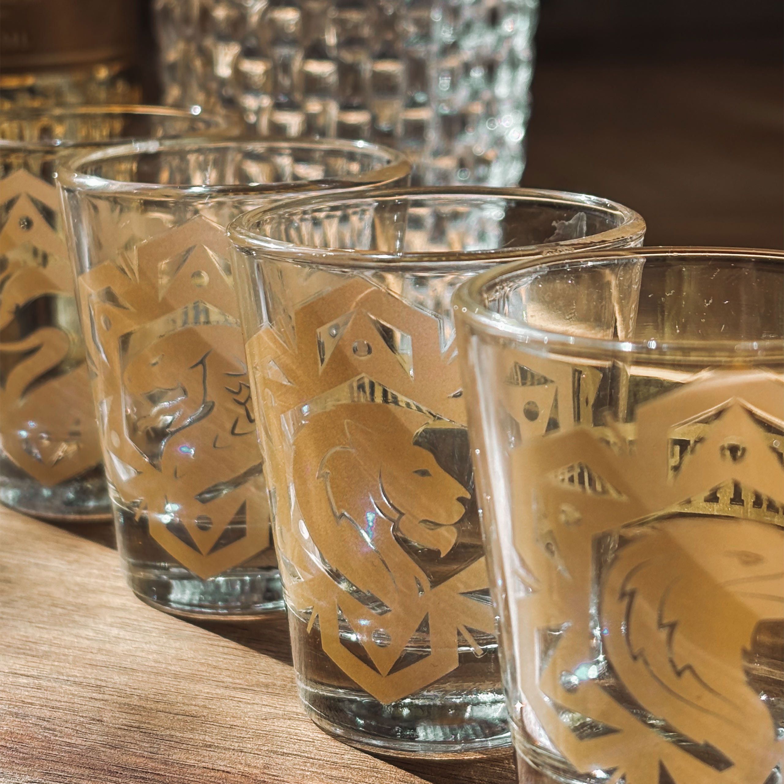 Harry Potter - Magic and Mayhem glazen set van 4