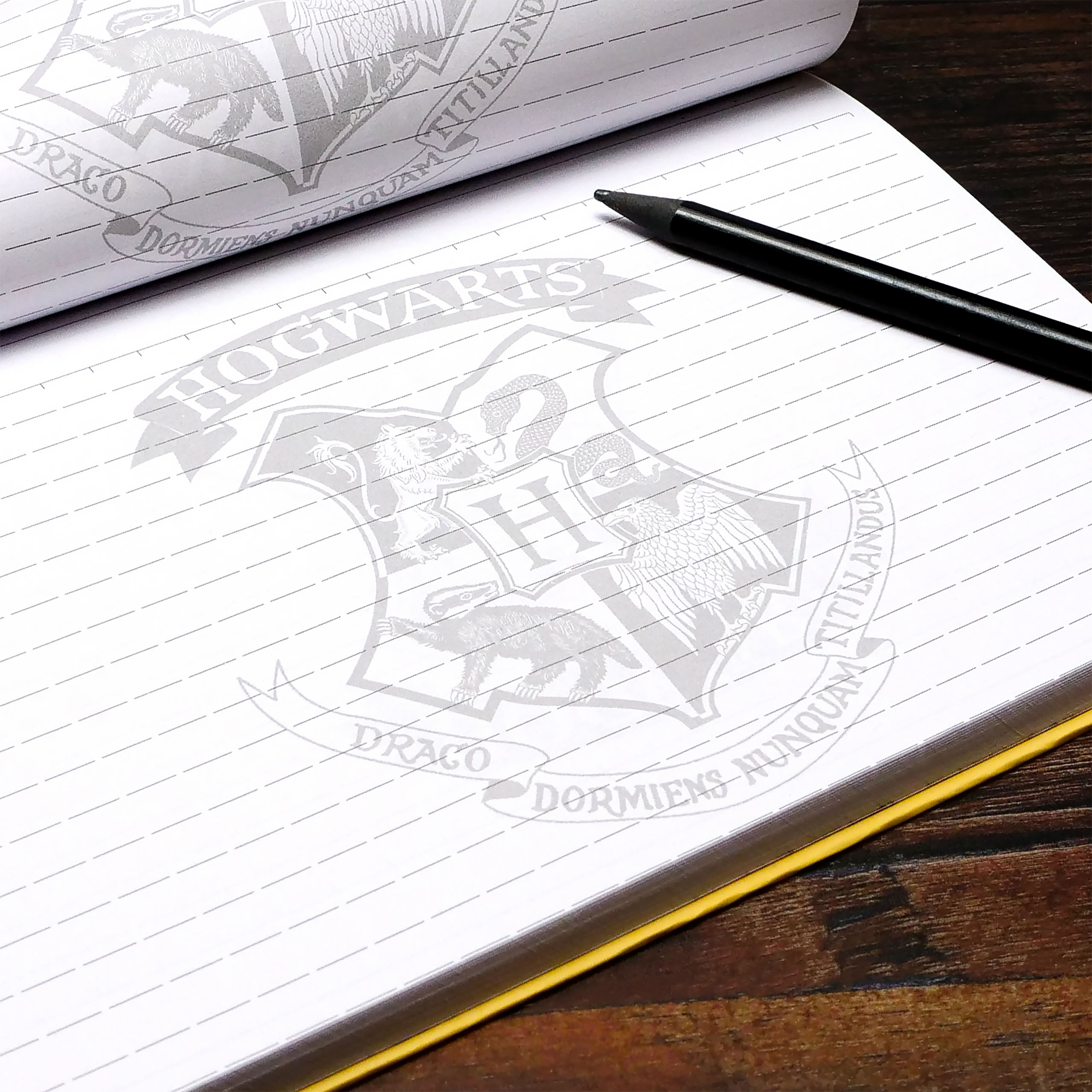 Hogwarts Brief Notizbuch mit Magnetverschluss A5 - Harry Potter