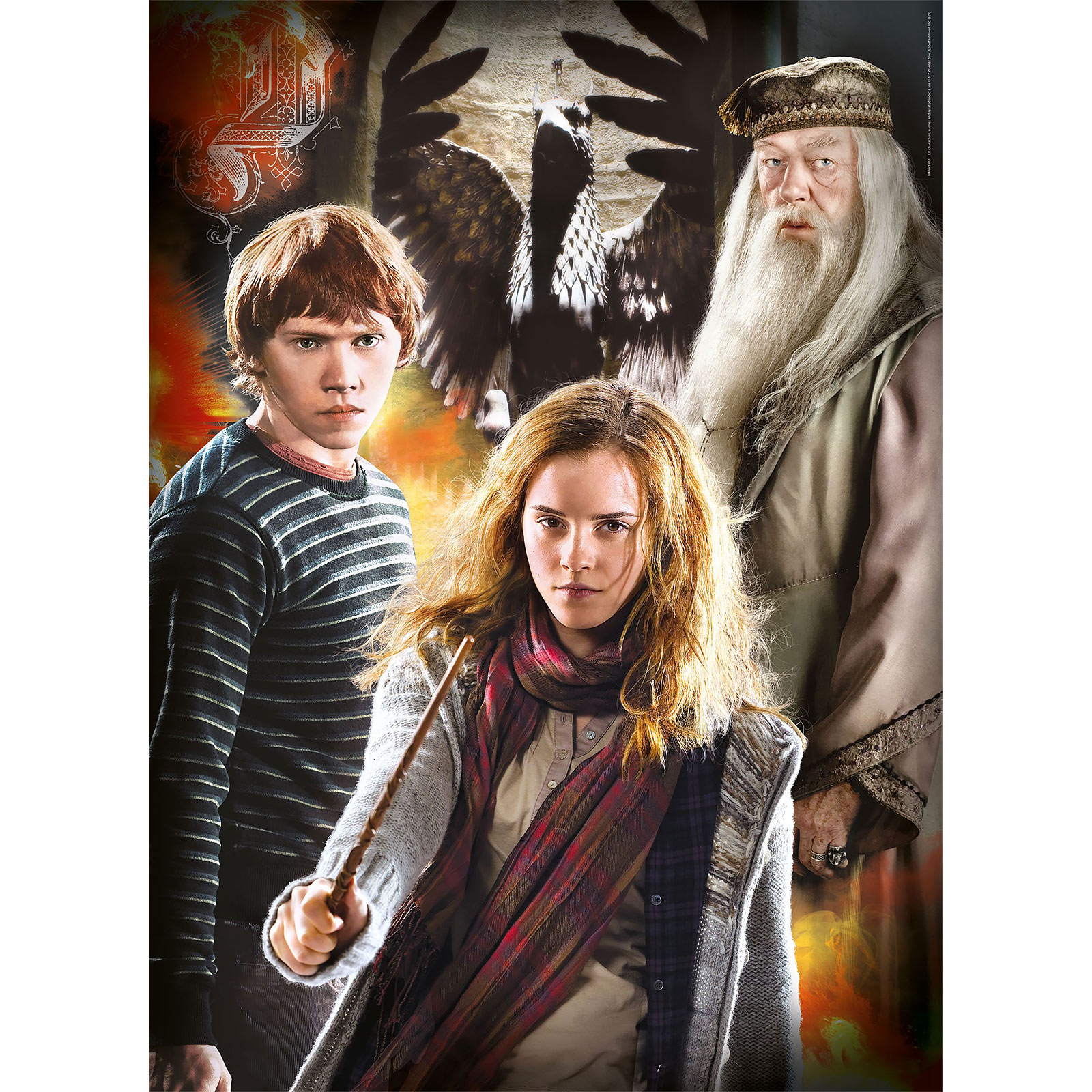 Harry Potter - Personages Puzzel 3-set