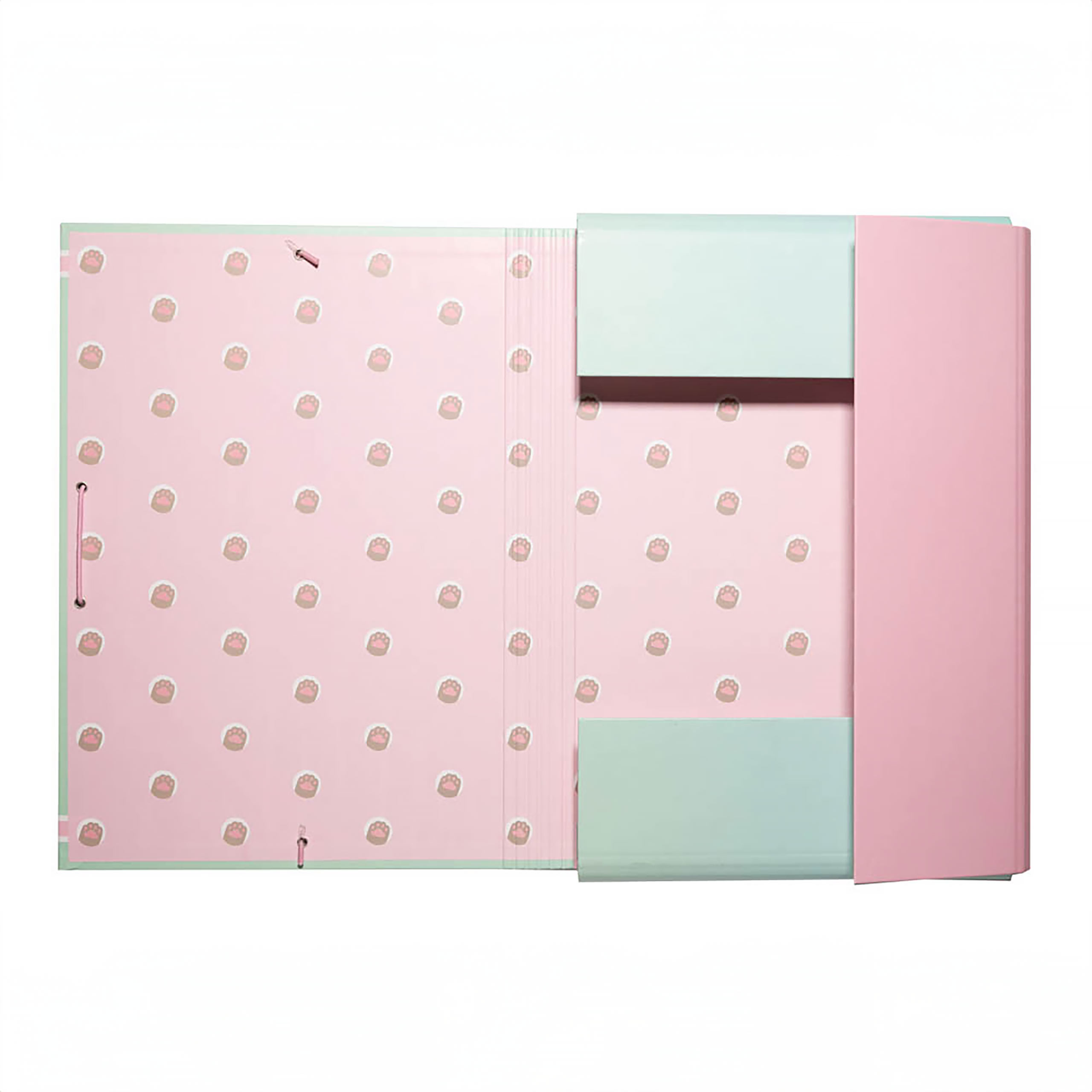 Pusheen - Ice cream Document Folder