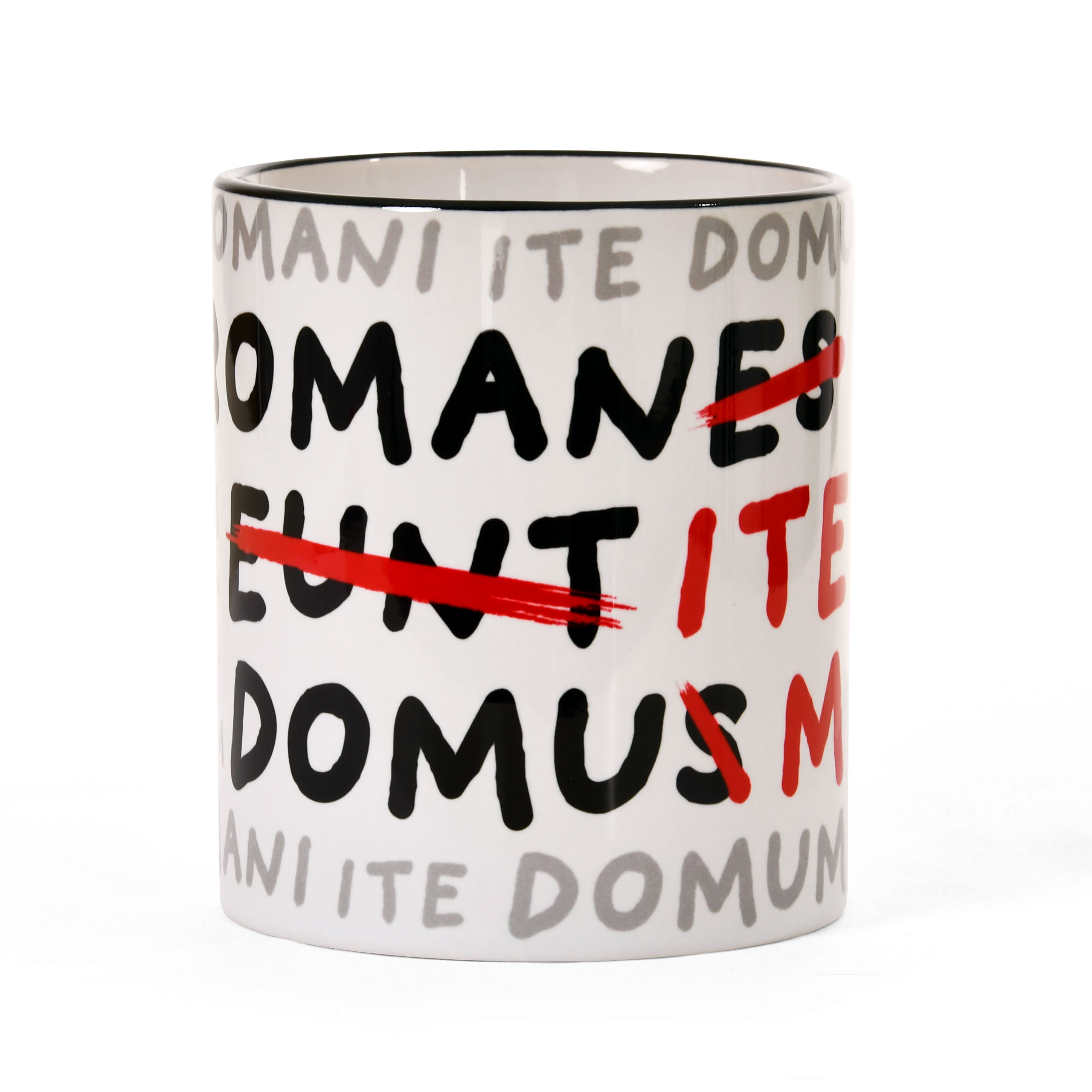 Romani Ite Domum Mug for Monty Python Fans