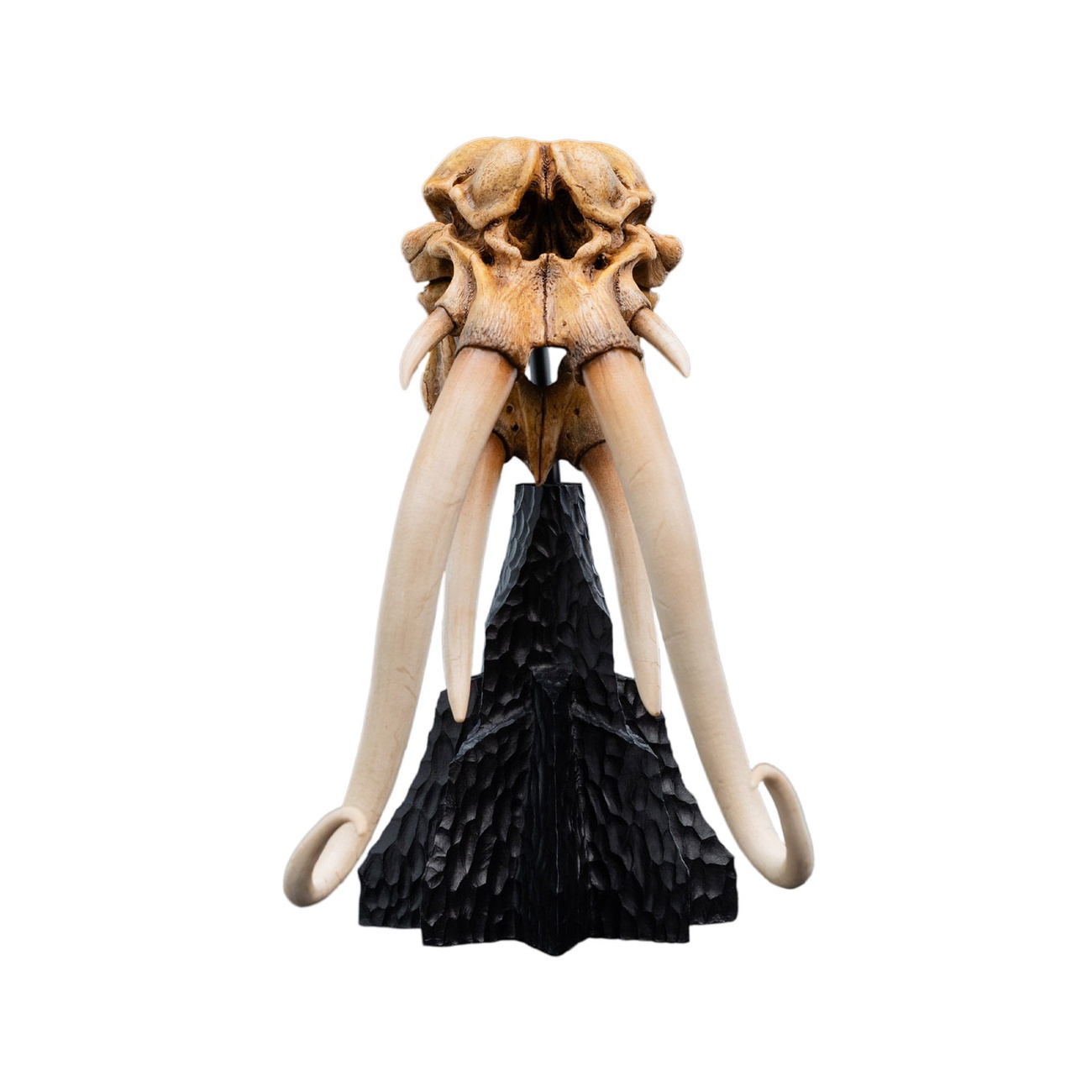 Der Herr der Ringe - Skull of a Mumak Mini Statue