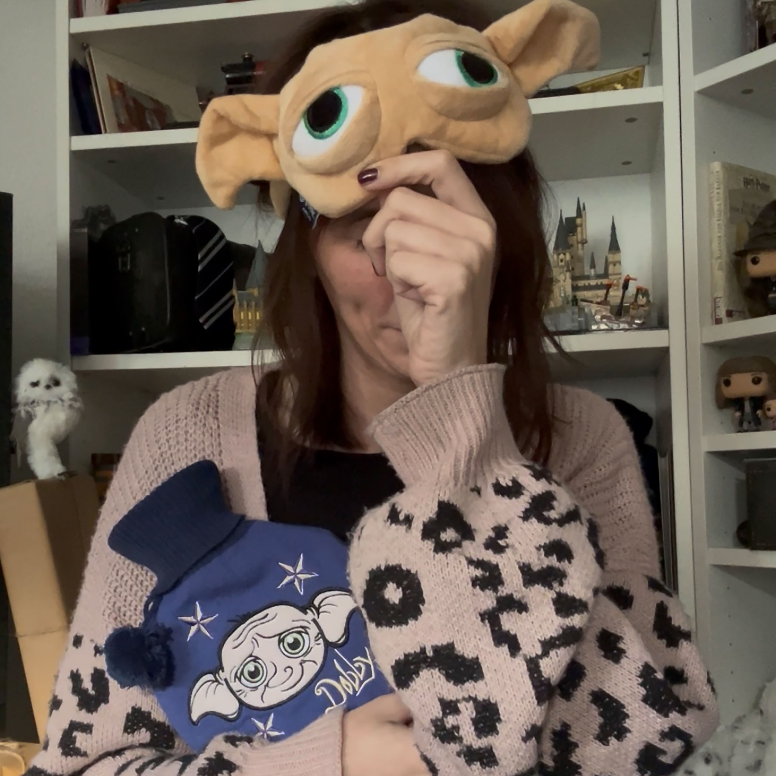 Harry Potter - Bolsa de agua caliente de Dobby