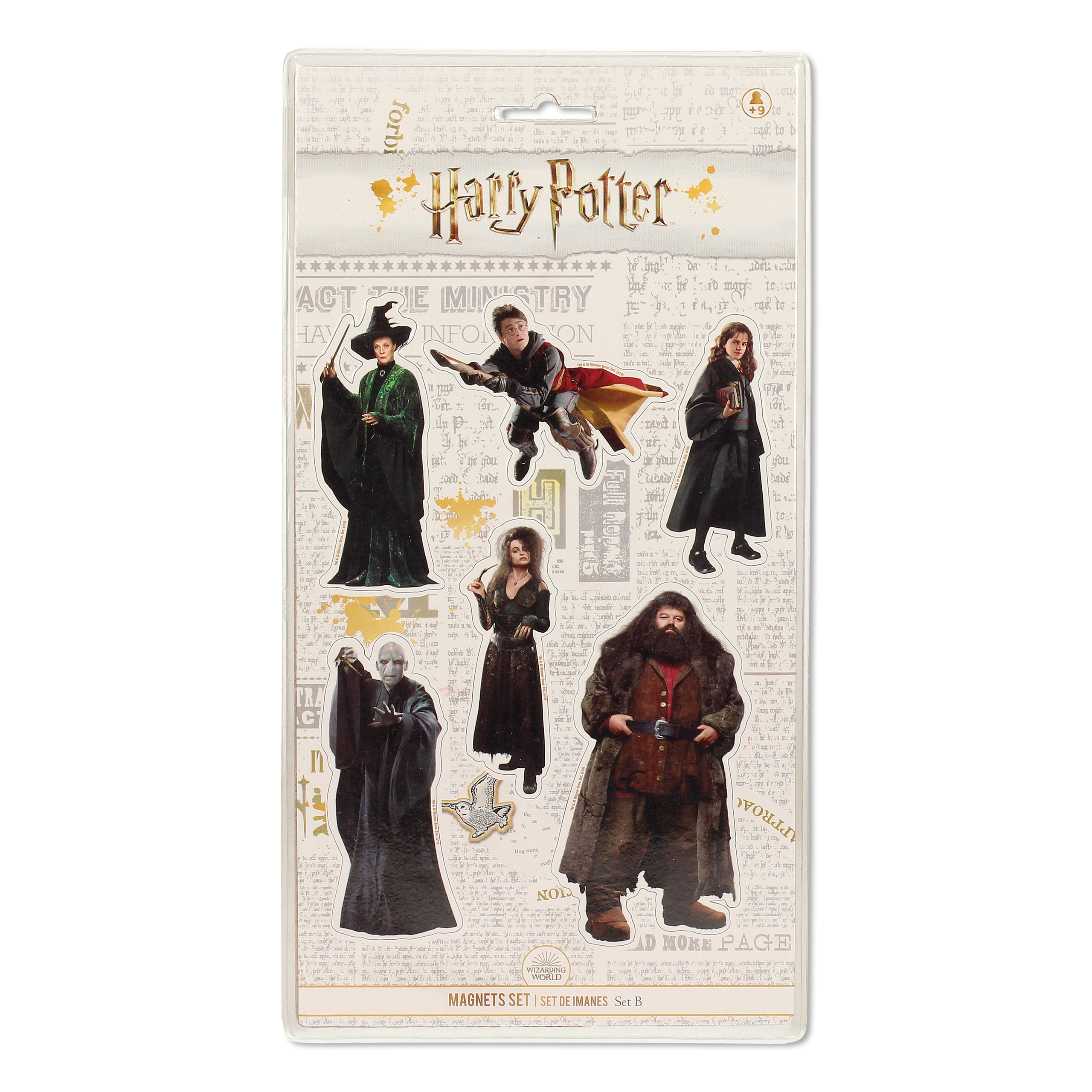 Harry Potter - Ensemble de Magnets Personnages 6 pièces