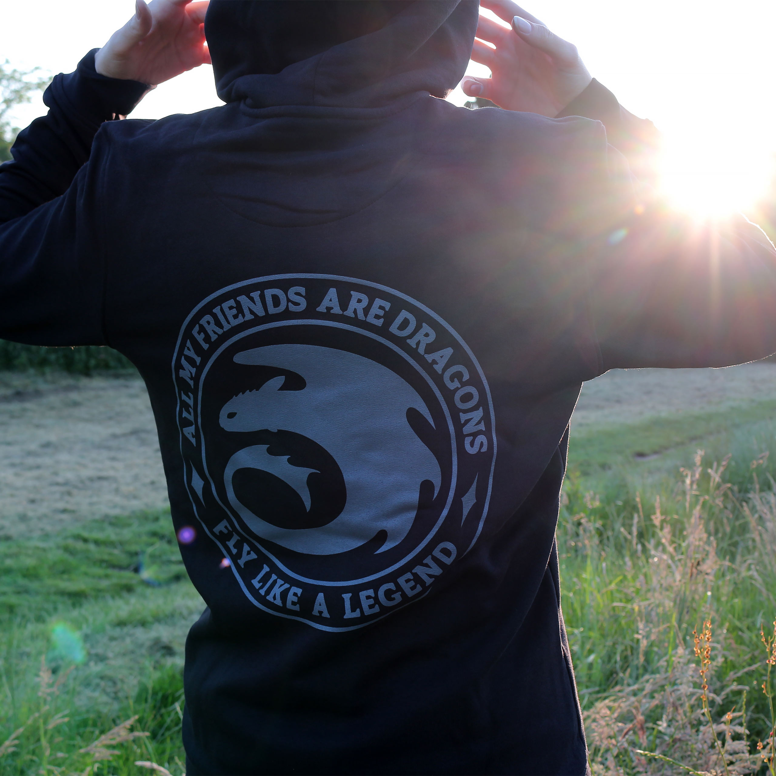 Drachenzähmen leicht gemacht - Night Fury Legend Hoodie schwarz