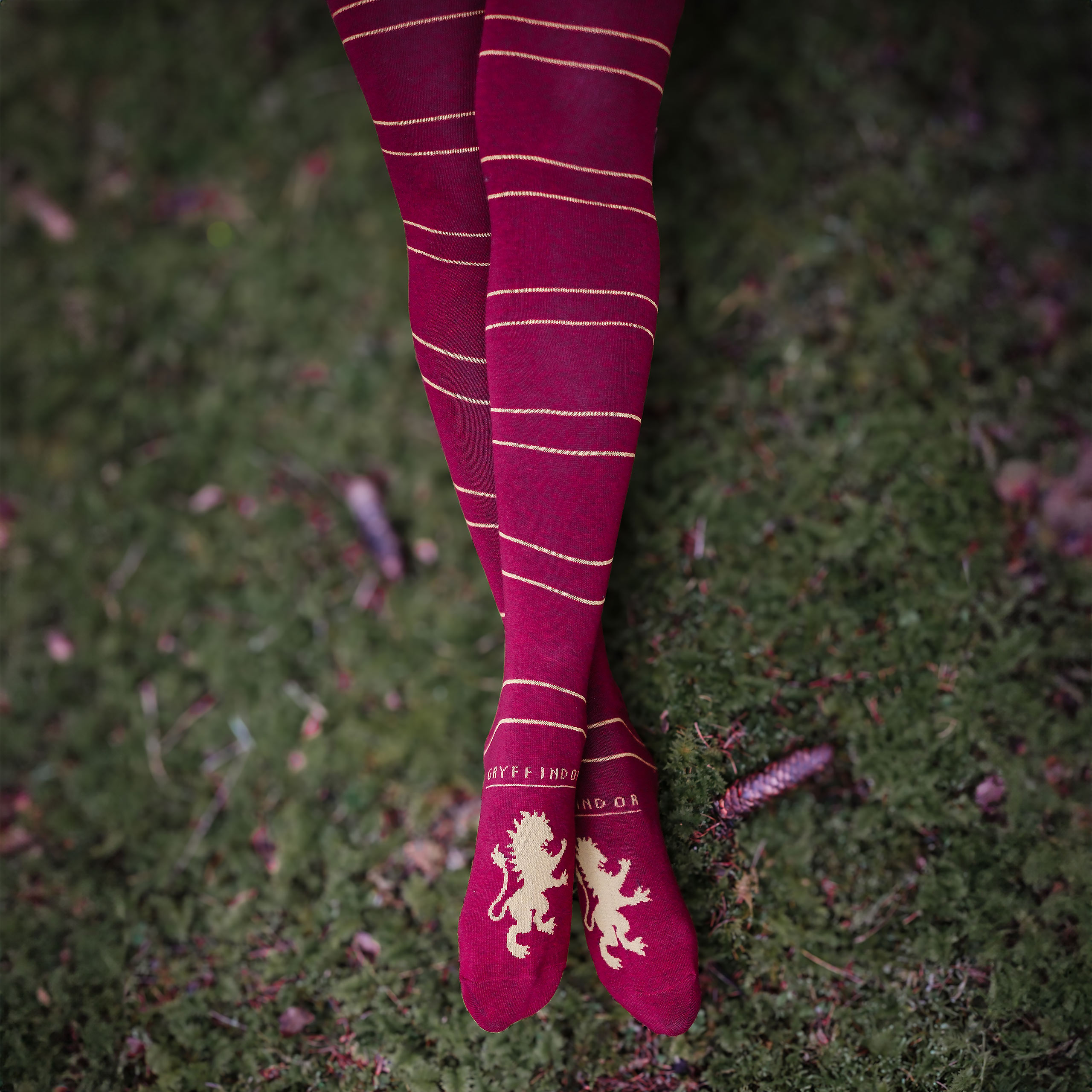 Harry Potter - Gryffindor Overknee Socks 2-Pack