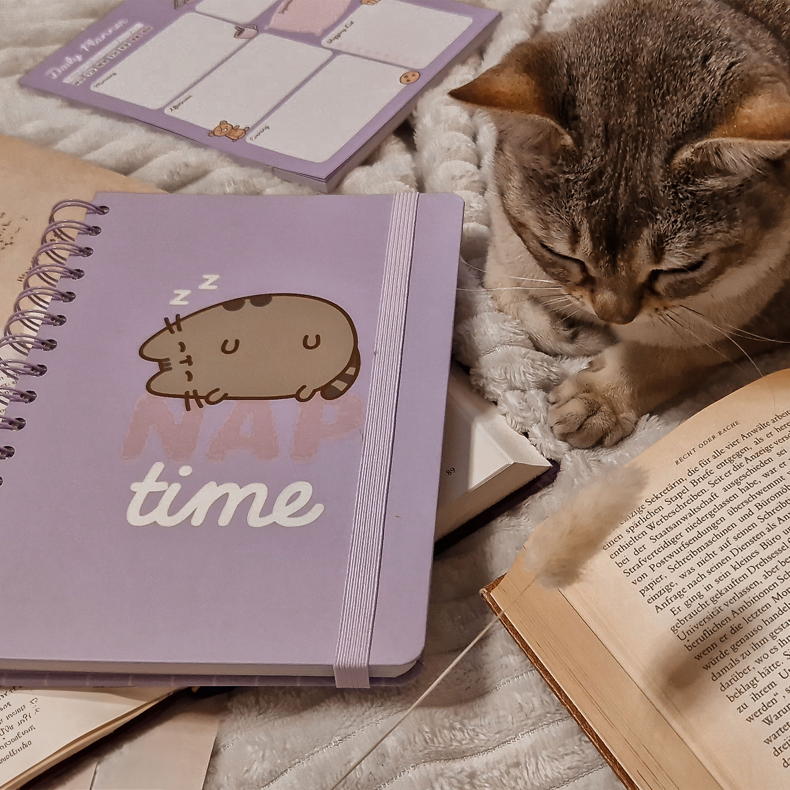 Pusheen - Nap Time Notebook