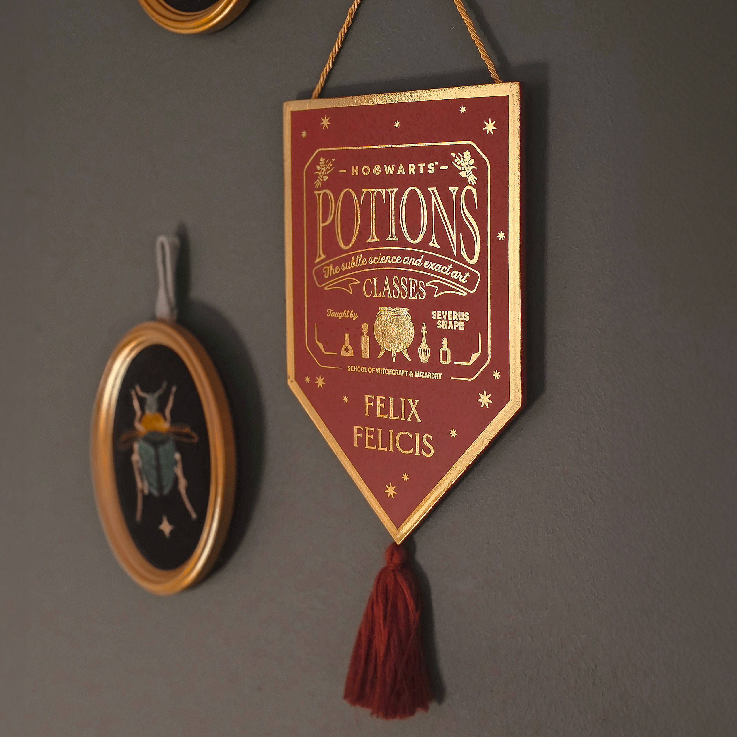 Harry Potter - Tableau mural en bois Felix Felicis