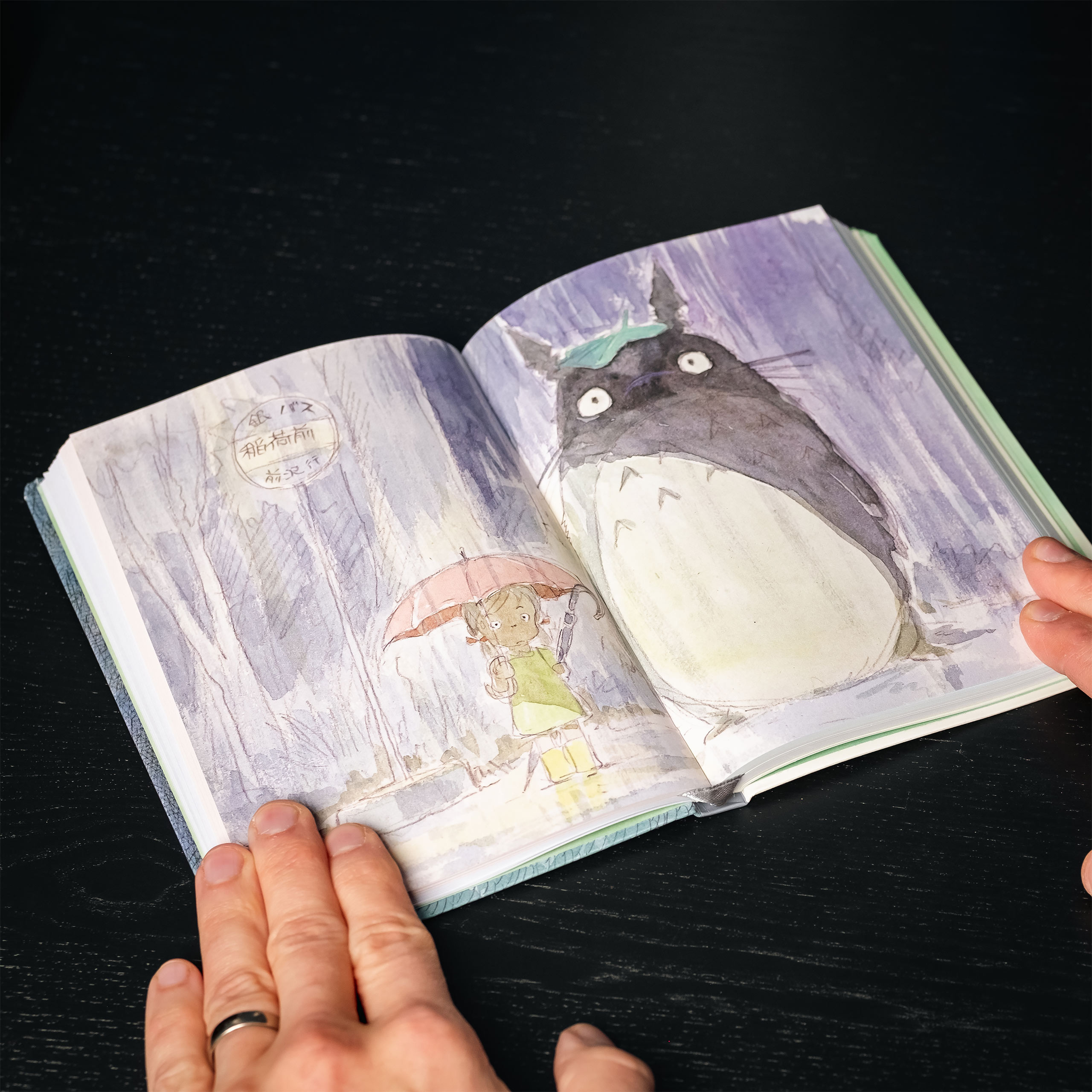 Mein Nachbar Totoro - Moon Notizbuch