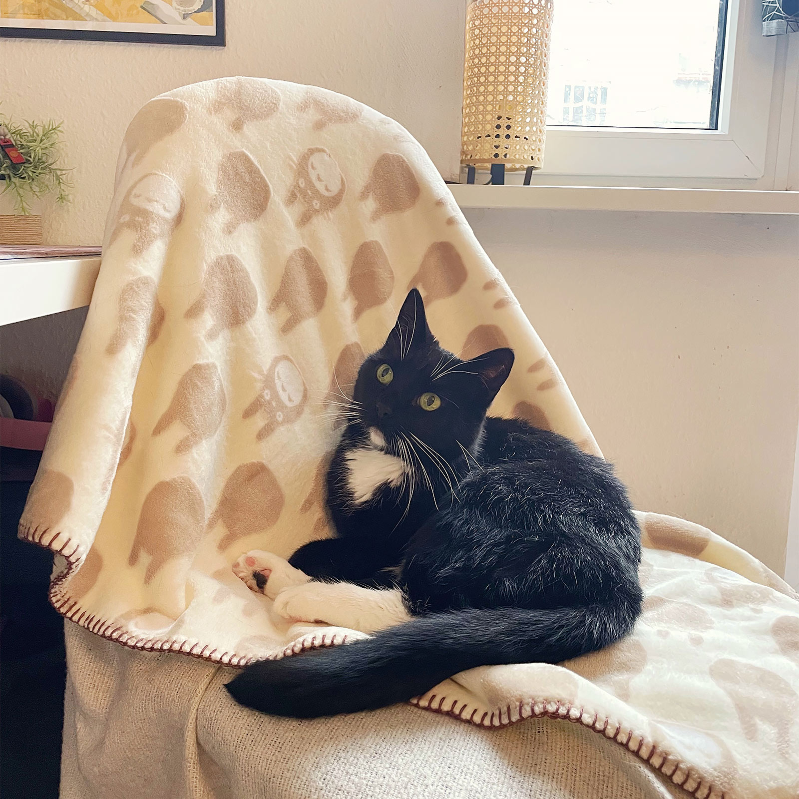 Totoro - Silhouette Plush Blanket with Teddy Fleece