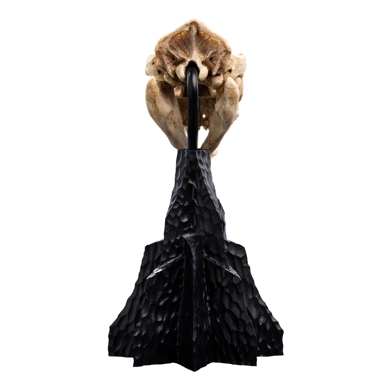Herr der Ringe Mini Statue Skull of a Warg 20 cm