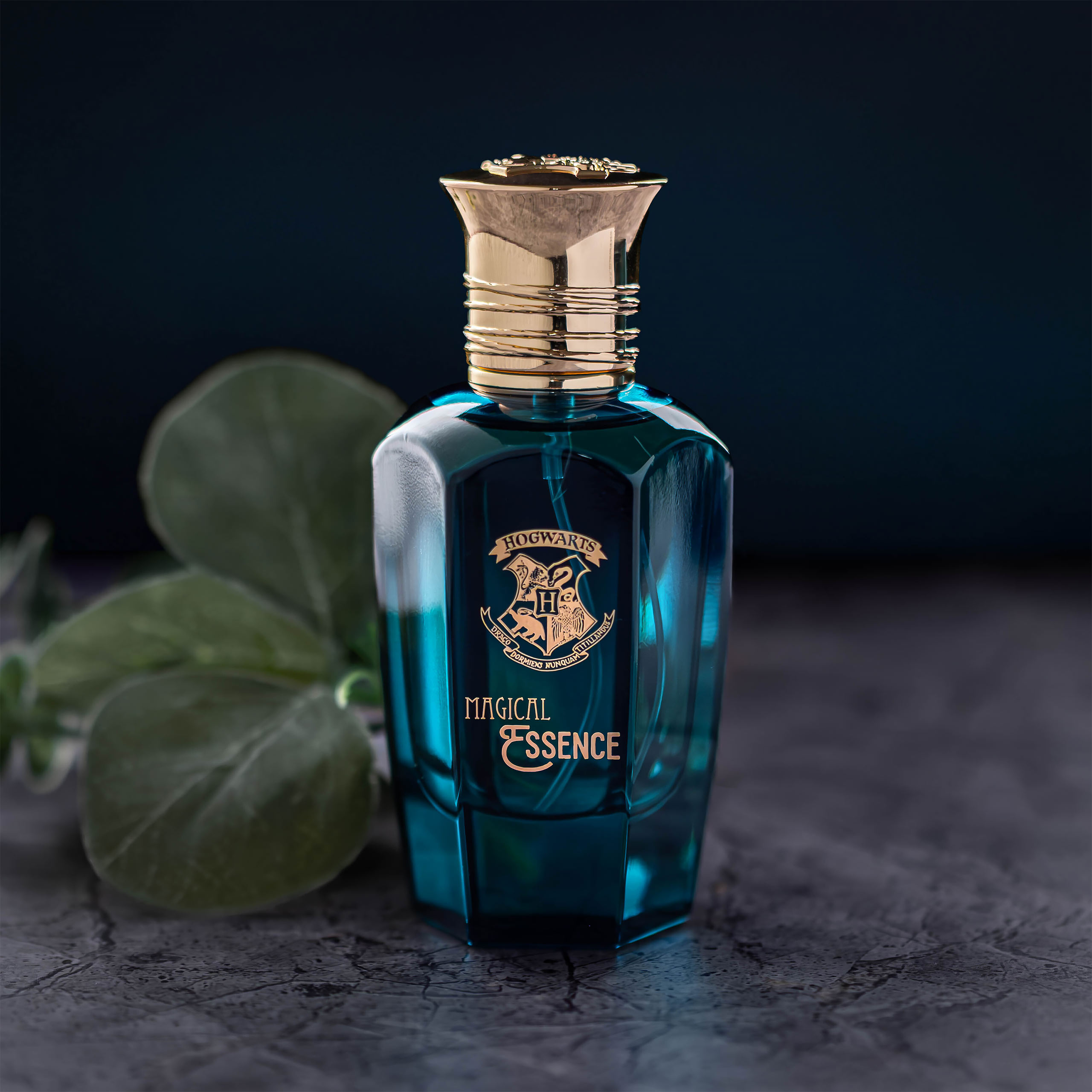 Harry Potter - Magical Essence Legendary Eau de Parfum