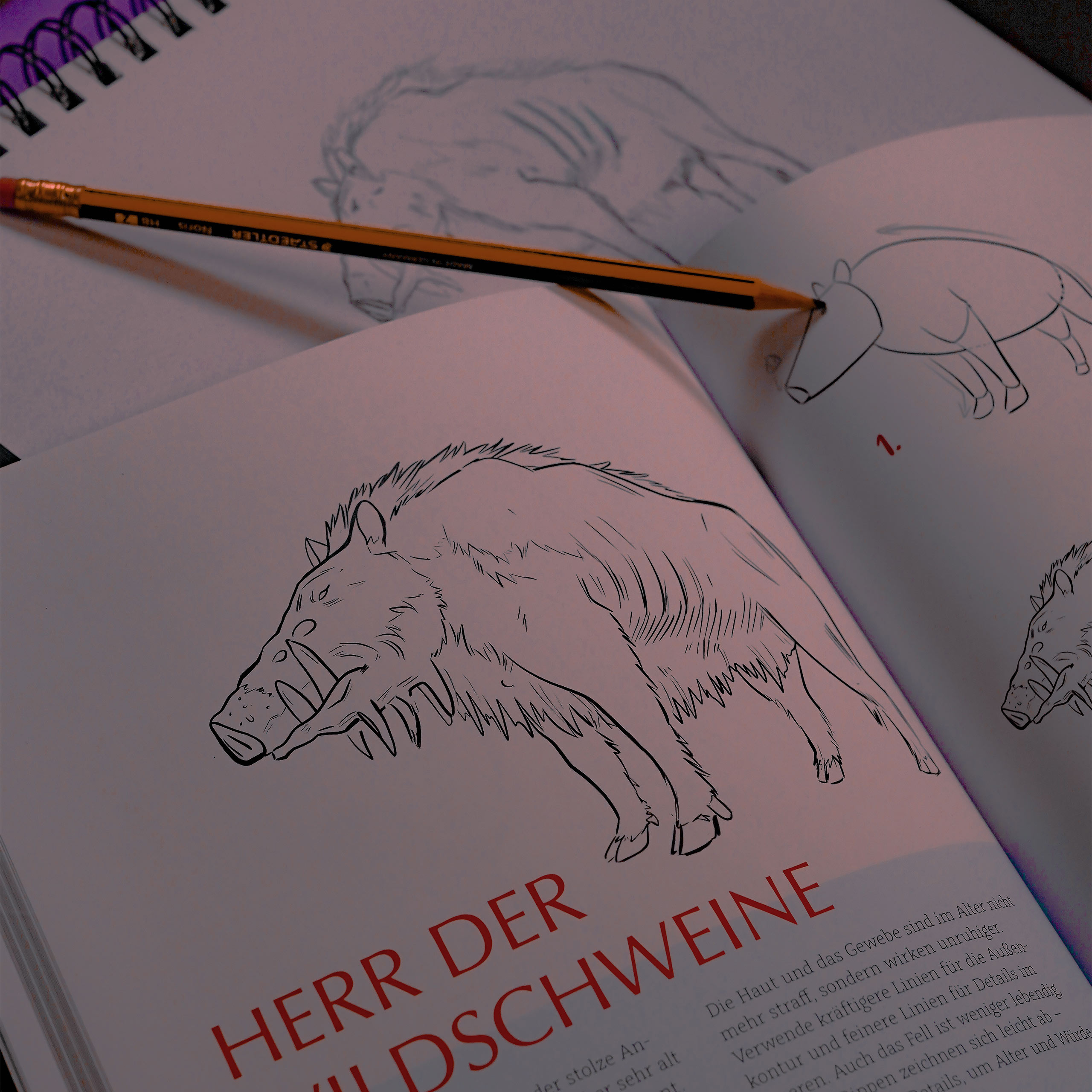 Den inofficiella Ghibli‑ritboken