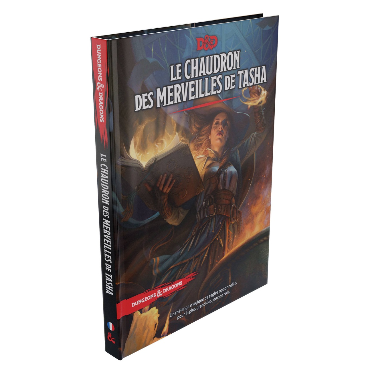 Dungeons & Dragons RPG Kocioł Cudów Tashy wydanie francuskie