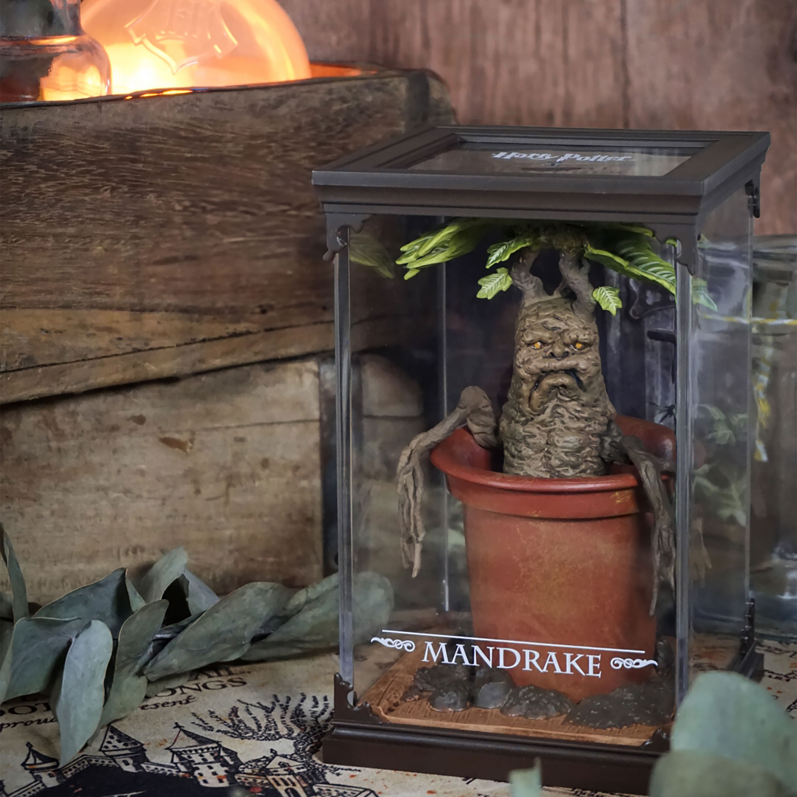 Mandrake - Figurine Magique de Harry Potter