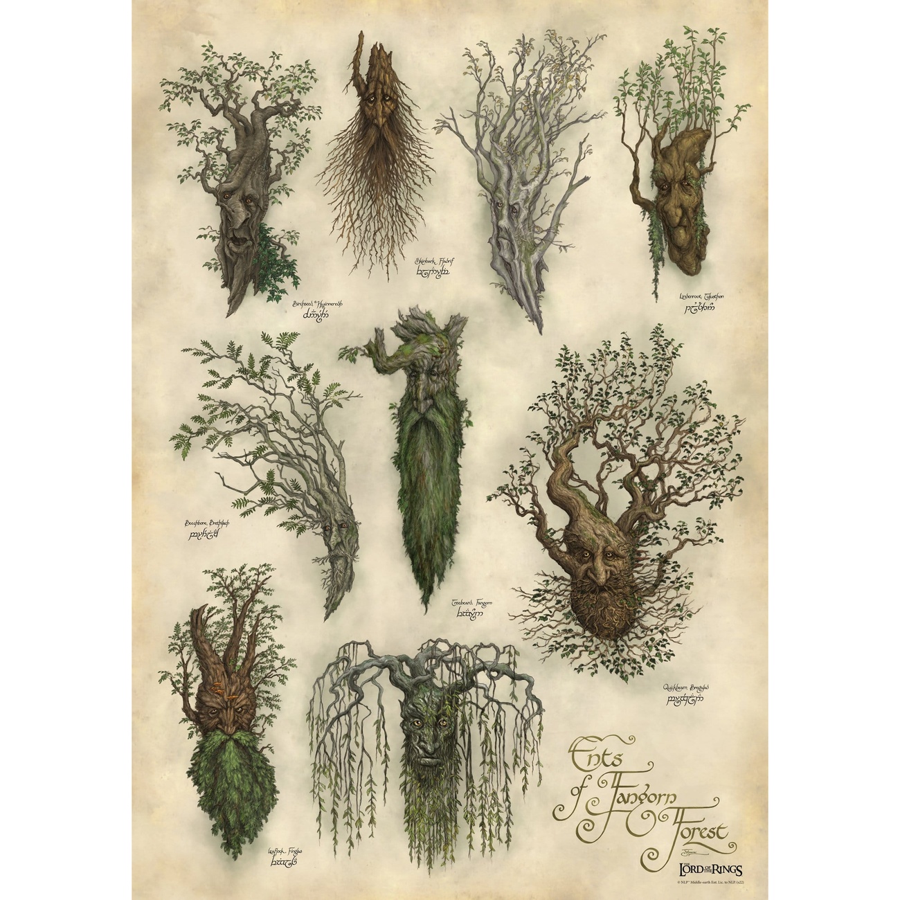 Il Signore degli Anelli - Fangorn Stampa artistica
