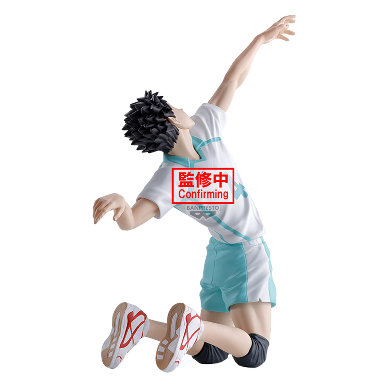 Haikyu!! – Figurine Hajime Iwaizumi Posing