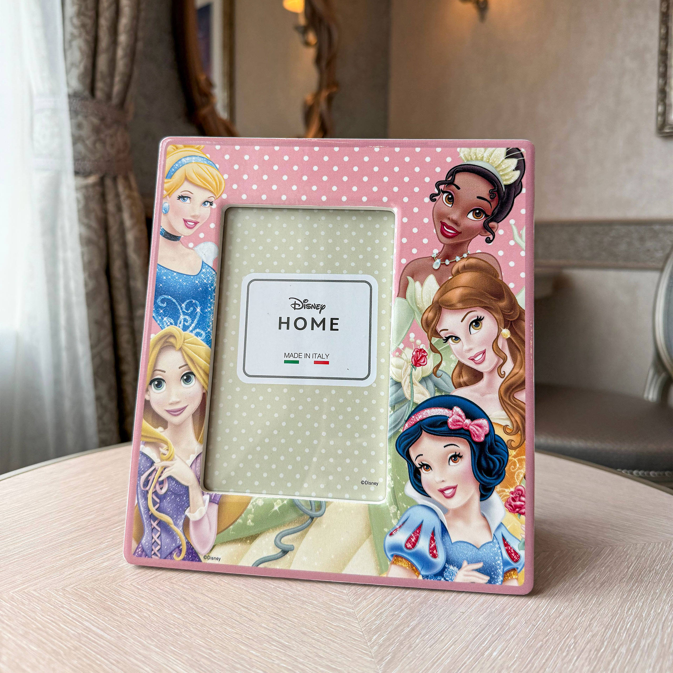 Disney Princess - Picture Frame