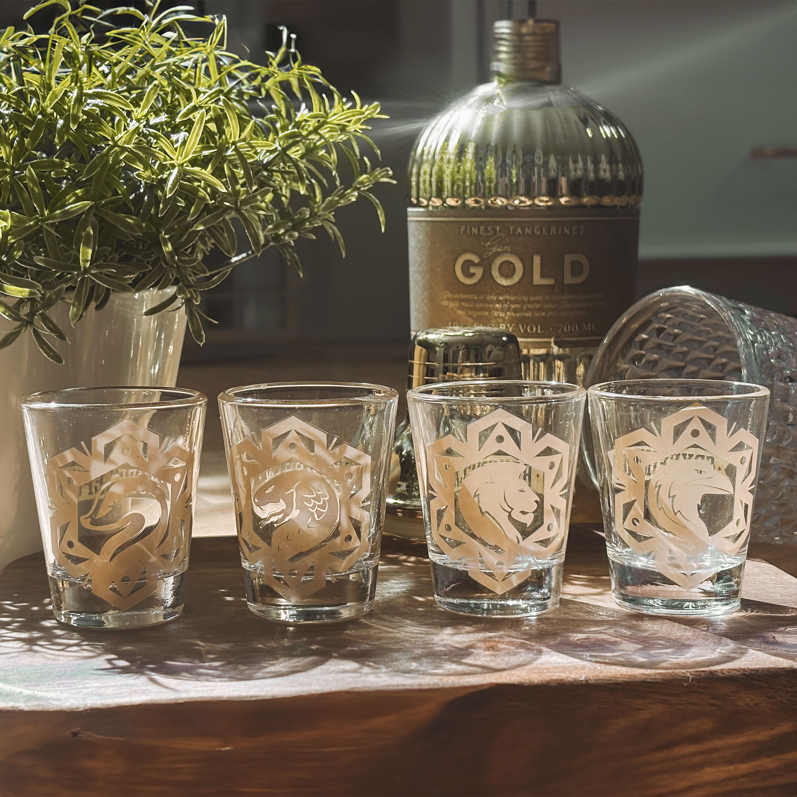 Harry Potter - Magic and Mayhem glazen set van 4