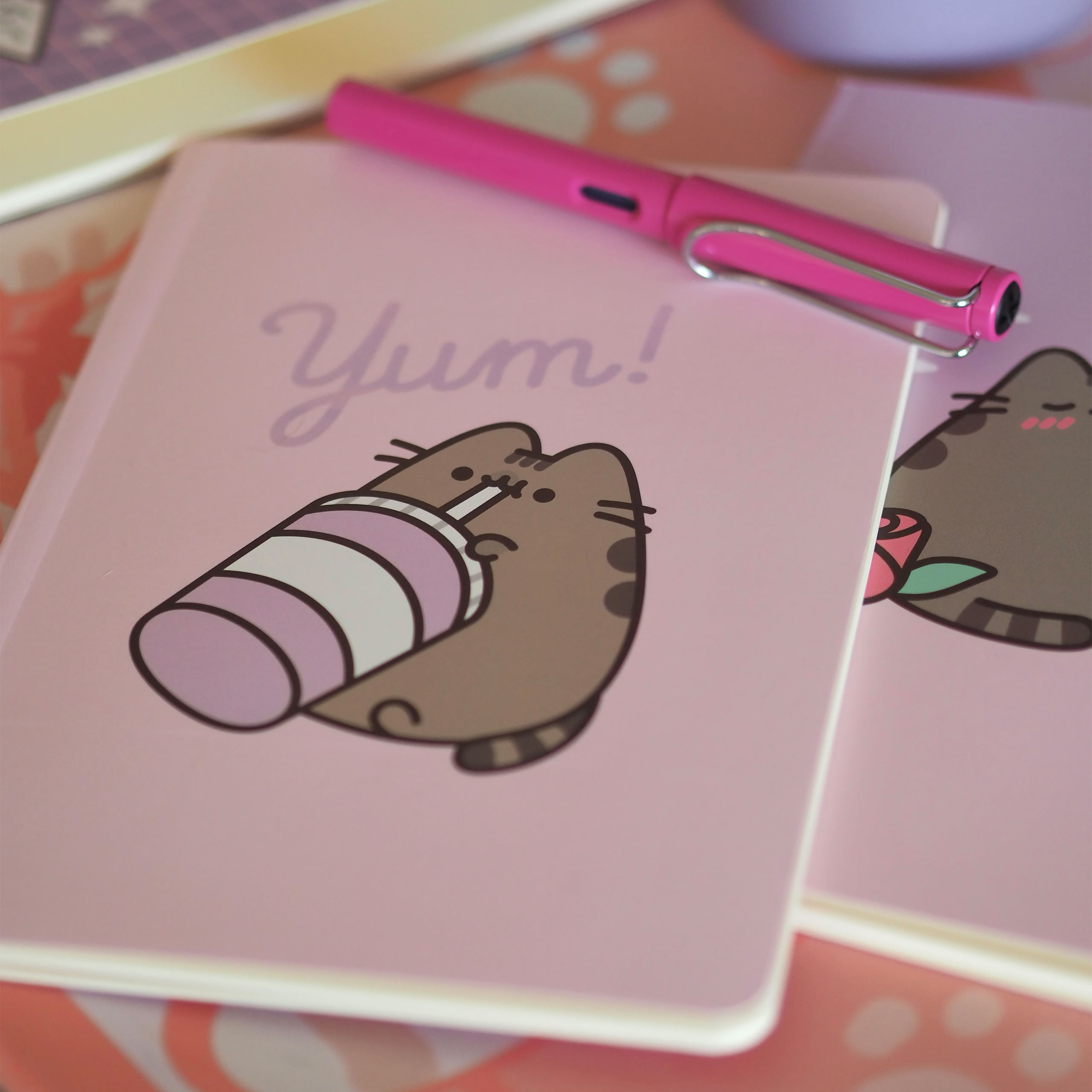 Pusheen - Momentos Cuadernos Set de 3