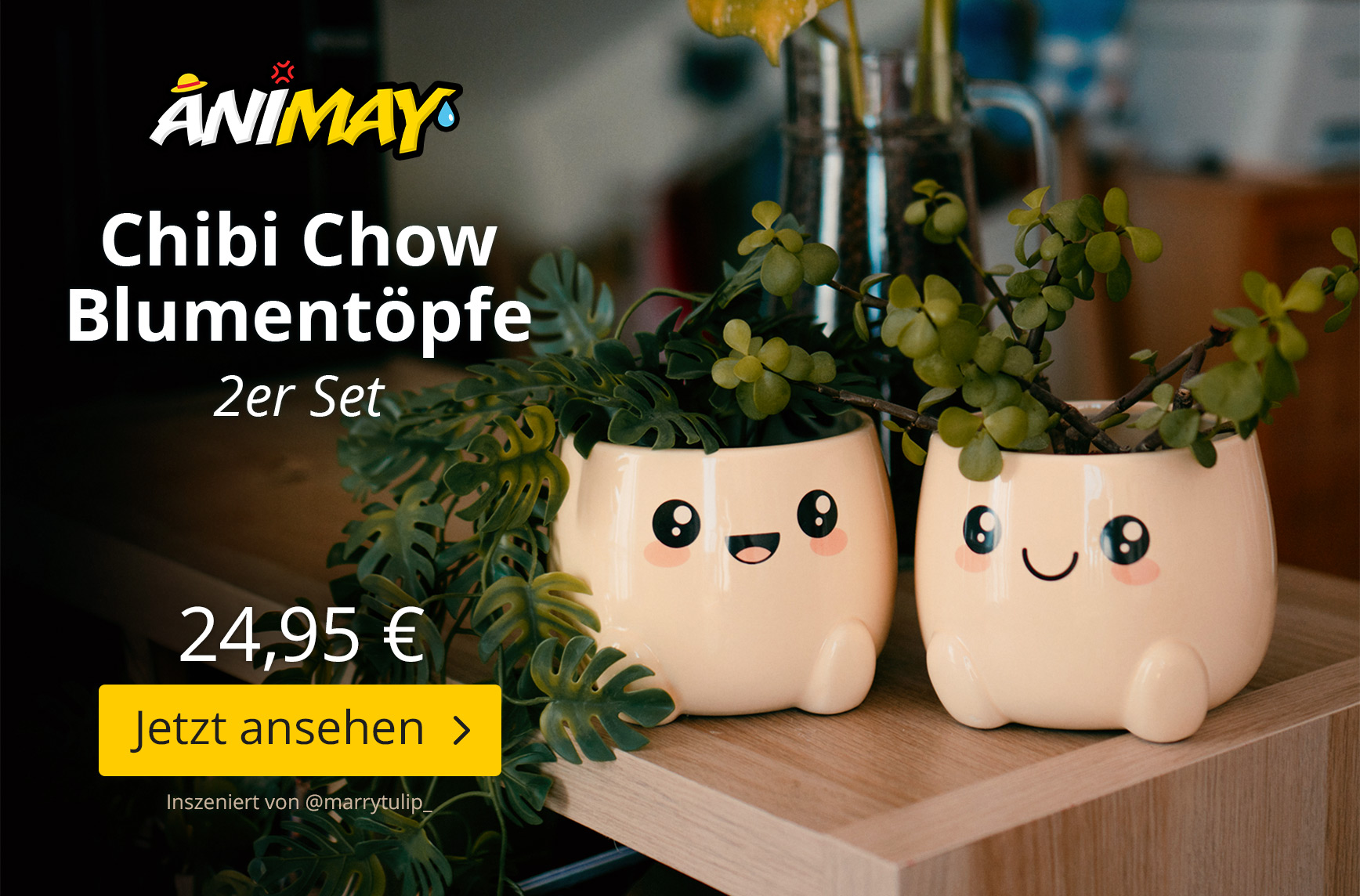 Animay-Logo über niedlichen Chibi Chow Blumentöpfen mit lachenden Gesichtern auf einem Holztisch. Die Töpfe sind mit grünen Pflanzen gefüllt und stehen in gemütlicher Wohnatmosphäre. Text: Chibi Chow Blumentöpfe 2er Set, 24,95 Euro, Jetzt ansehen.