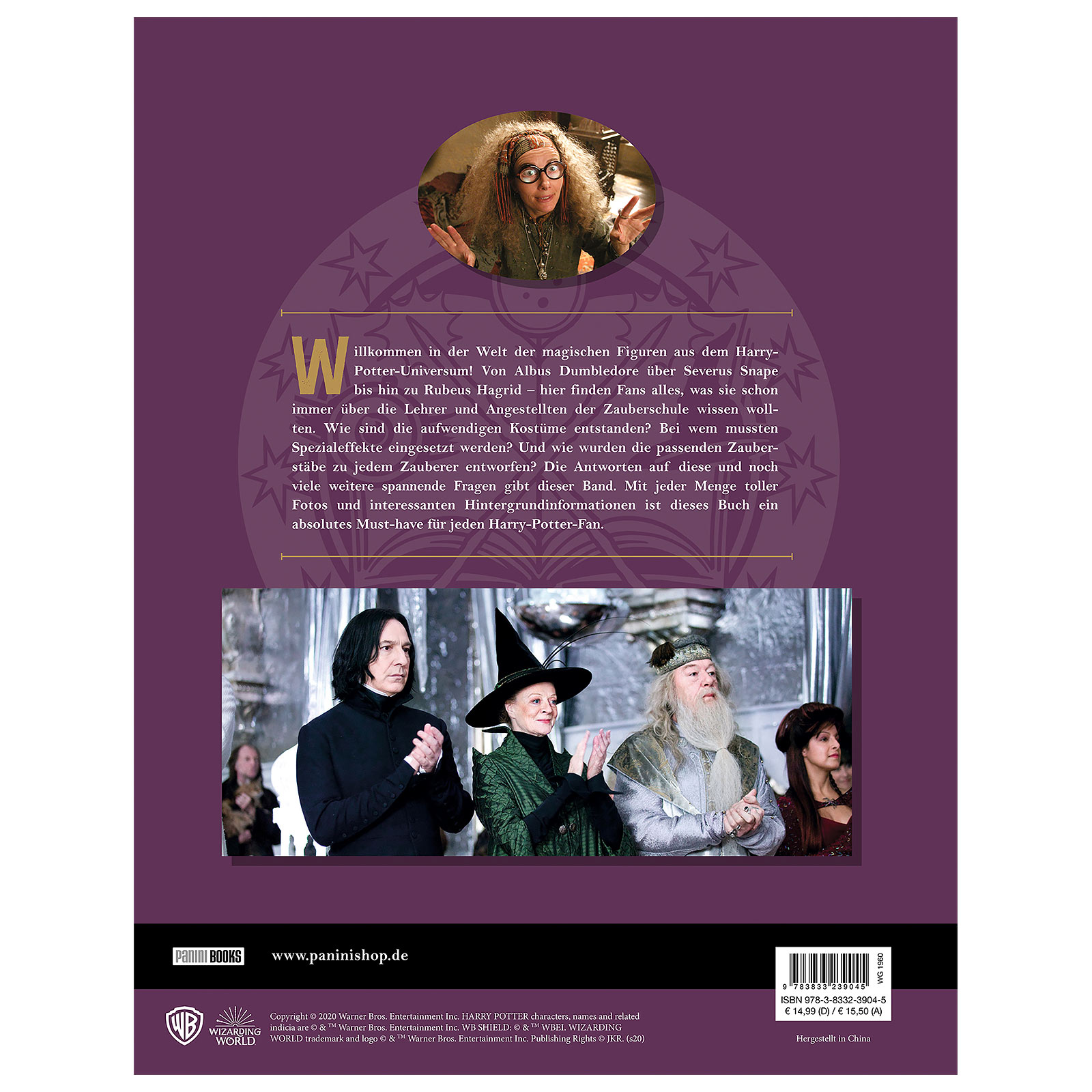 Harry Potter Monde du Film - Tout sur les professeurs de Poudlard