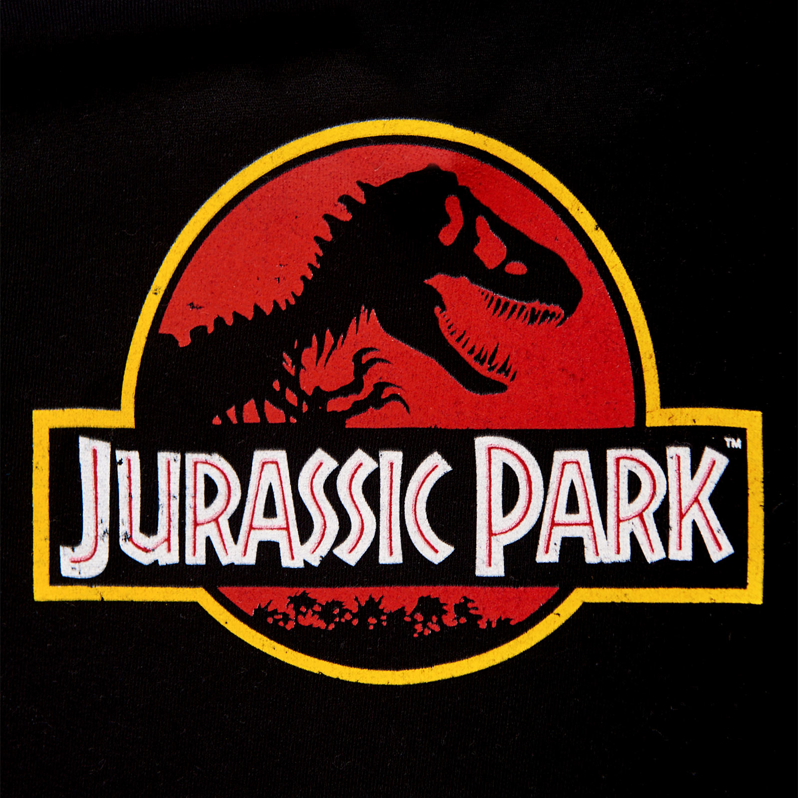 Jurassic Park - Filmlogo Kinder Hoodie Zwart