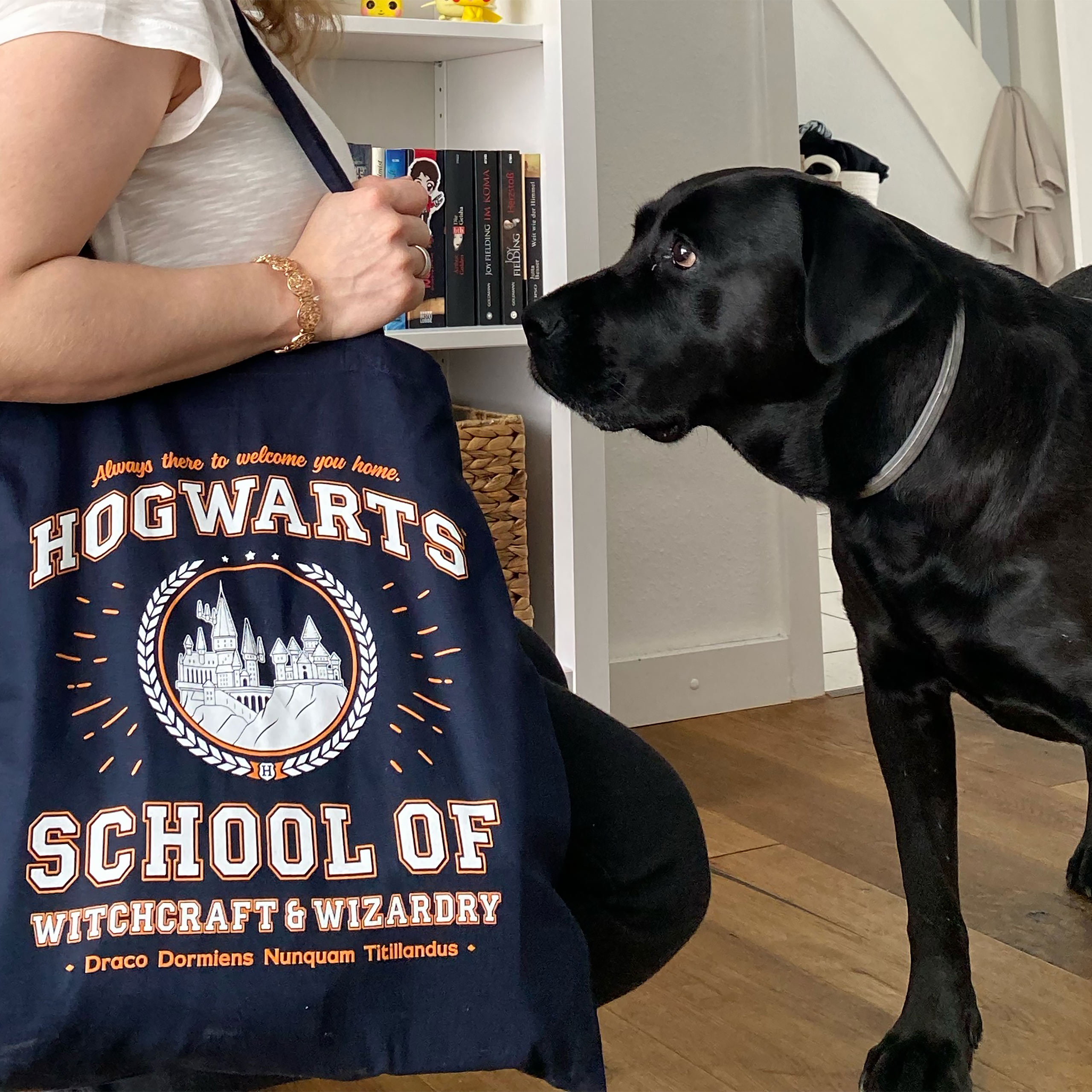 Hogwarts School Jute Tas Blauw - Harry Potter