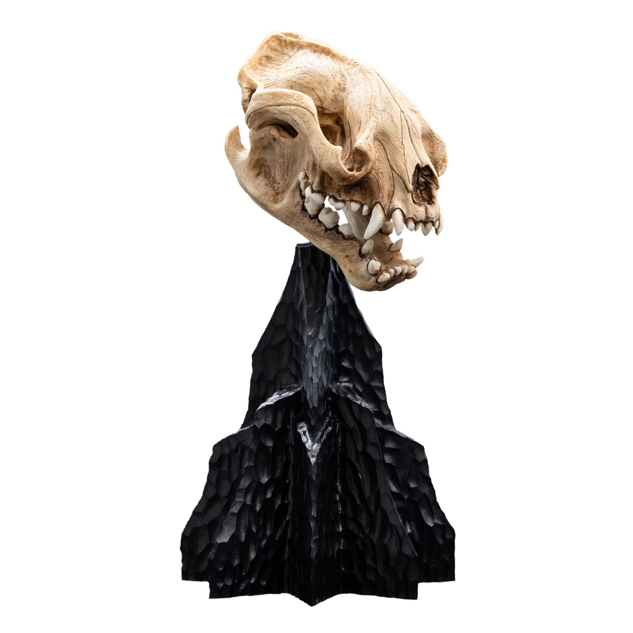 Herr der Ringe Mini Statue Skull of a Warg 20 cm