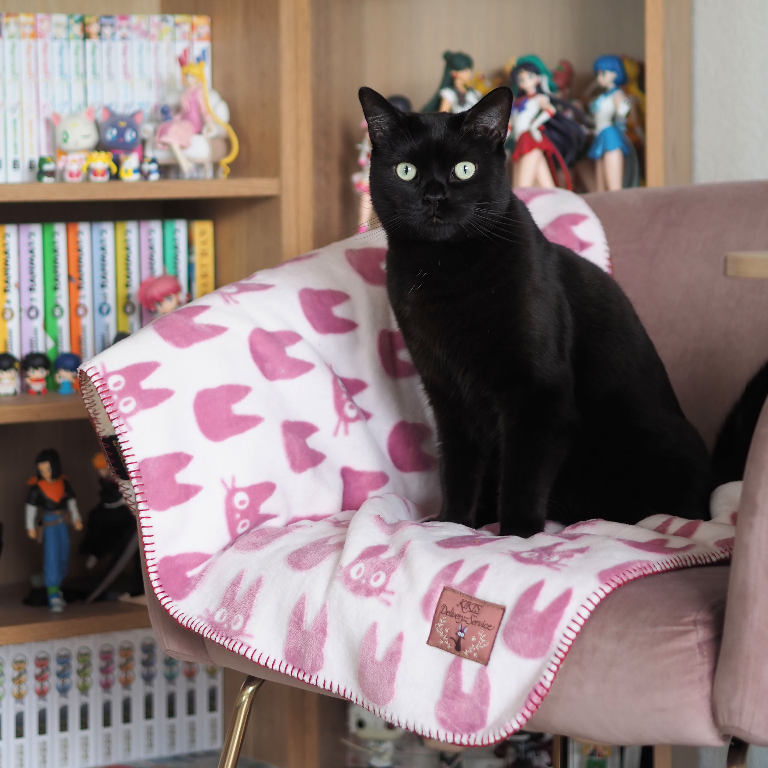 Kiki's Delivery Service - Jiji Silhouette Plush Blanket with Teddy Fleece