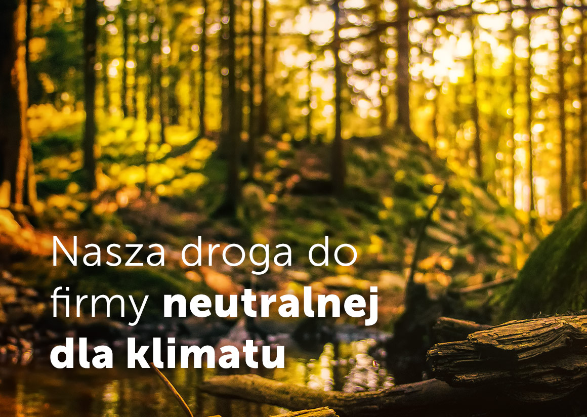 Nasza droga do firmy neutralnej dla klimatu – zdjęcie lasu z potokiem o zachodzie słońca