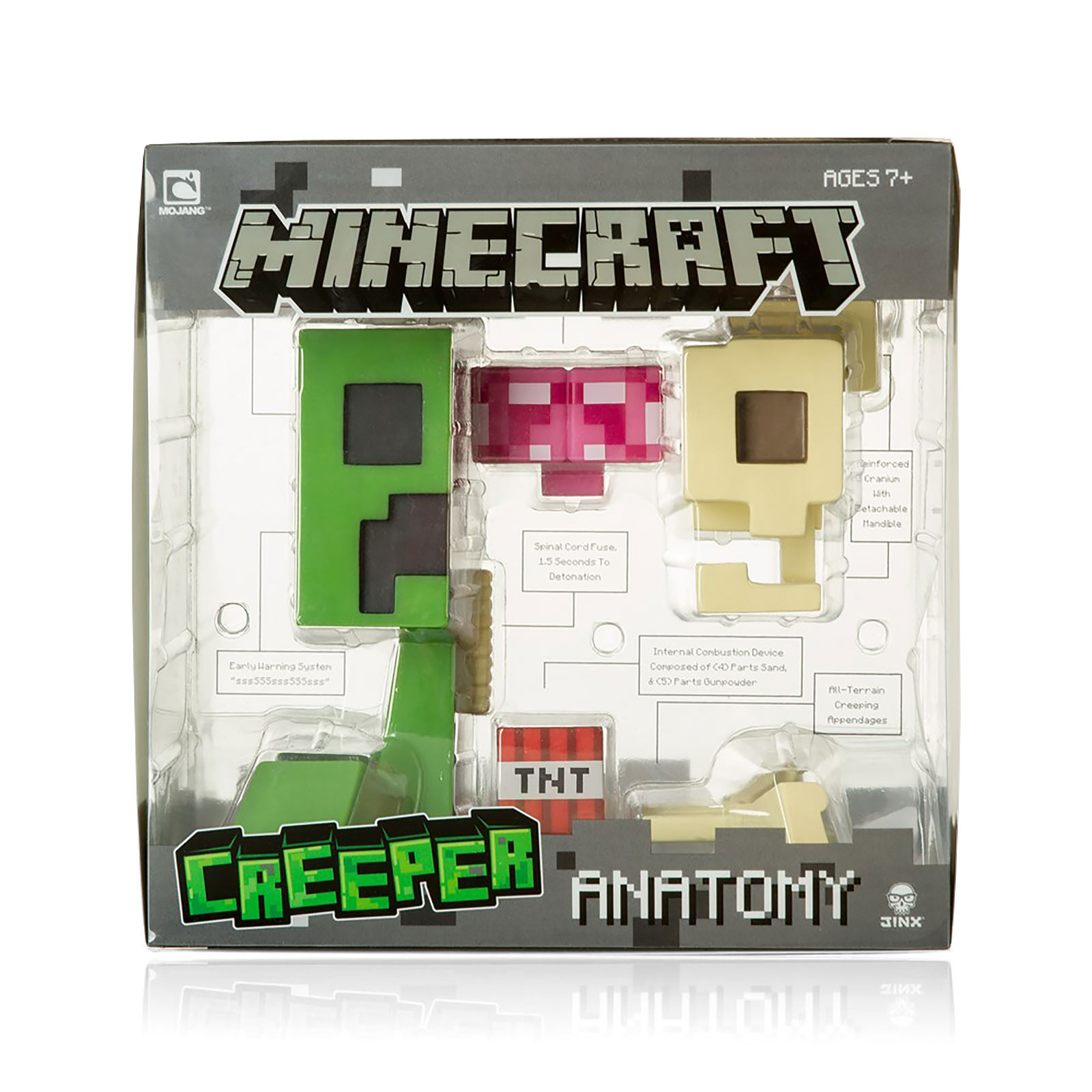 Minecraft - Creeper Anatomie Figuur