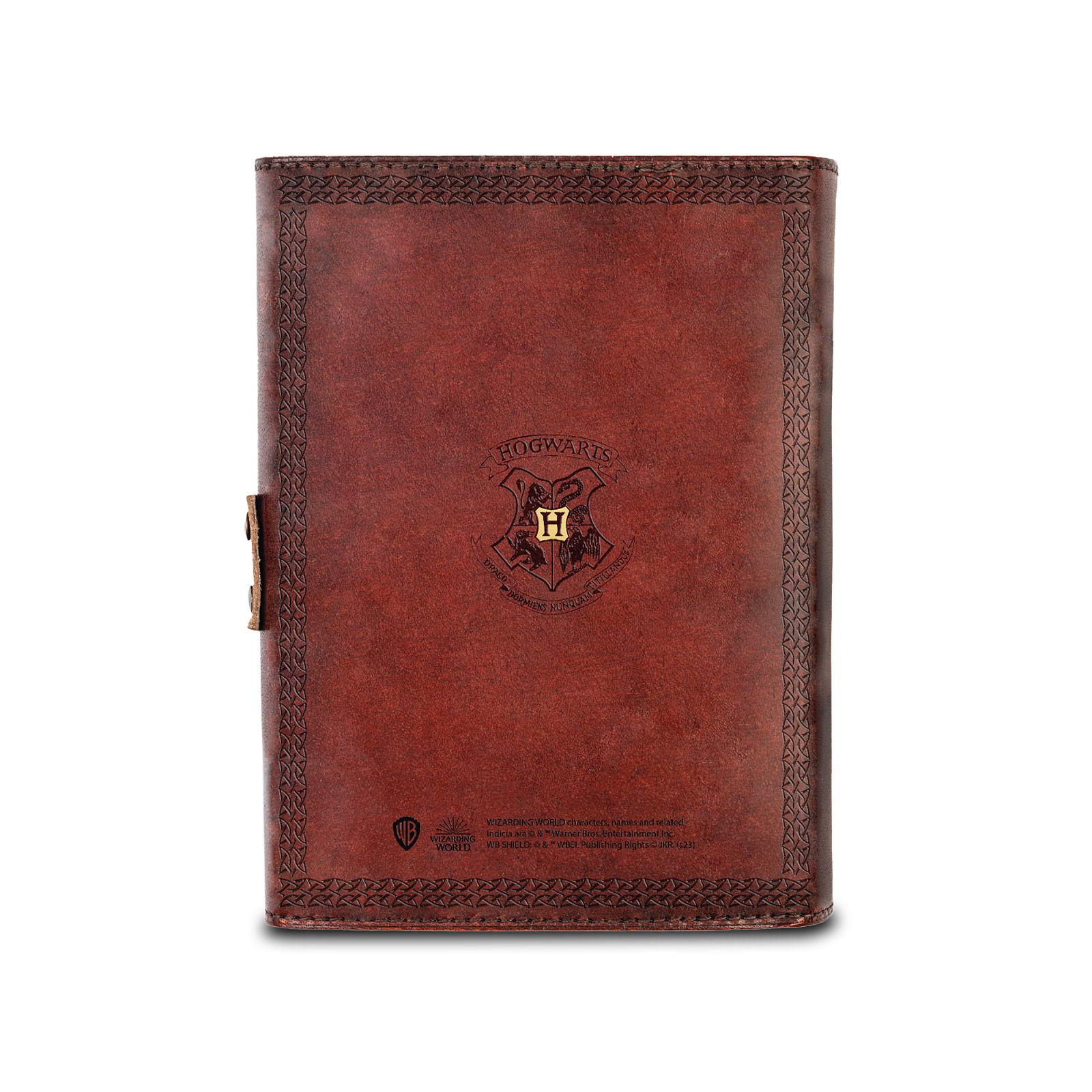 Harry Potter - The Golden Snitch Notebook