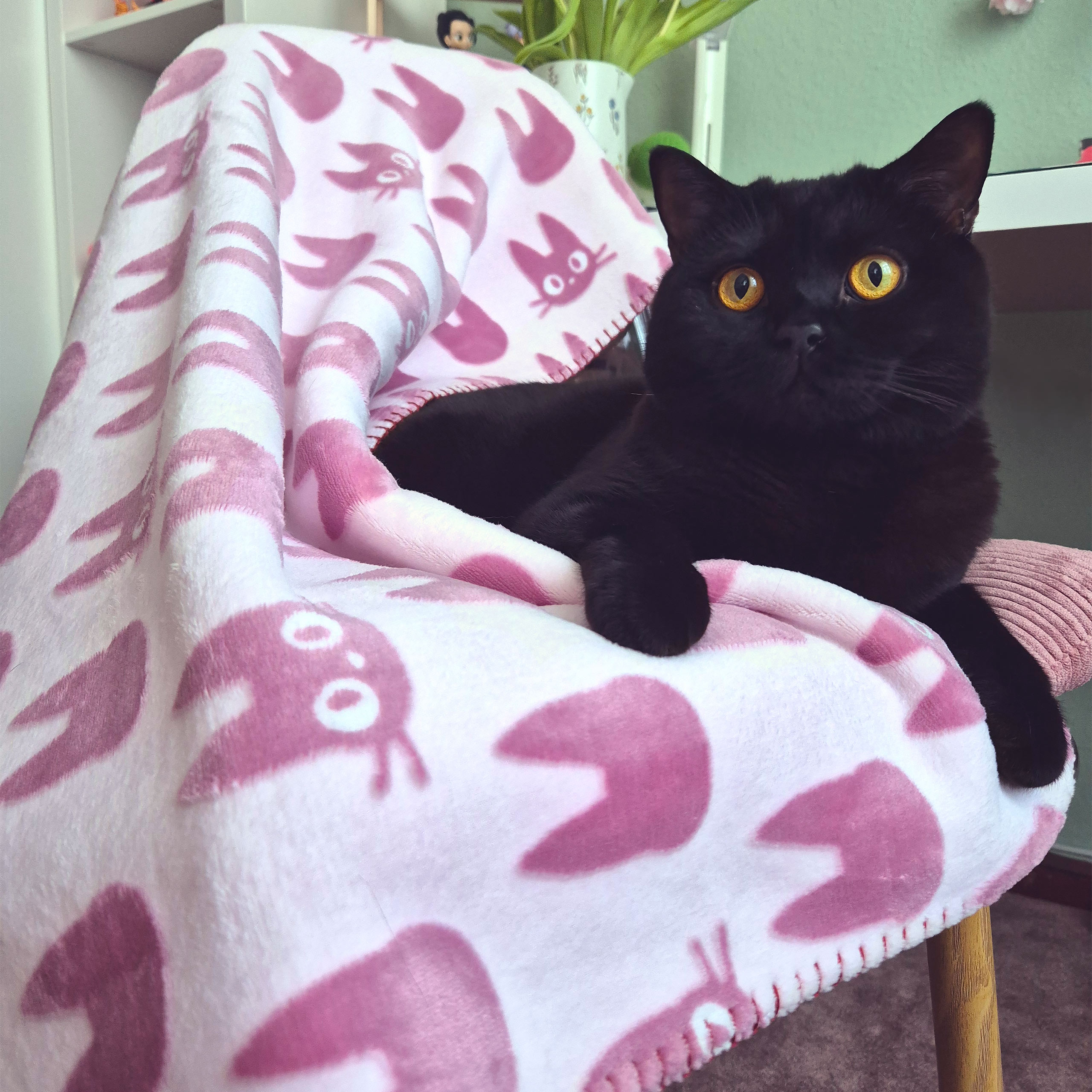 Kikis kleiner Lieferservice - Jiji Silhouette Flauschdecke mit Teddyfell